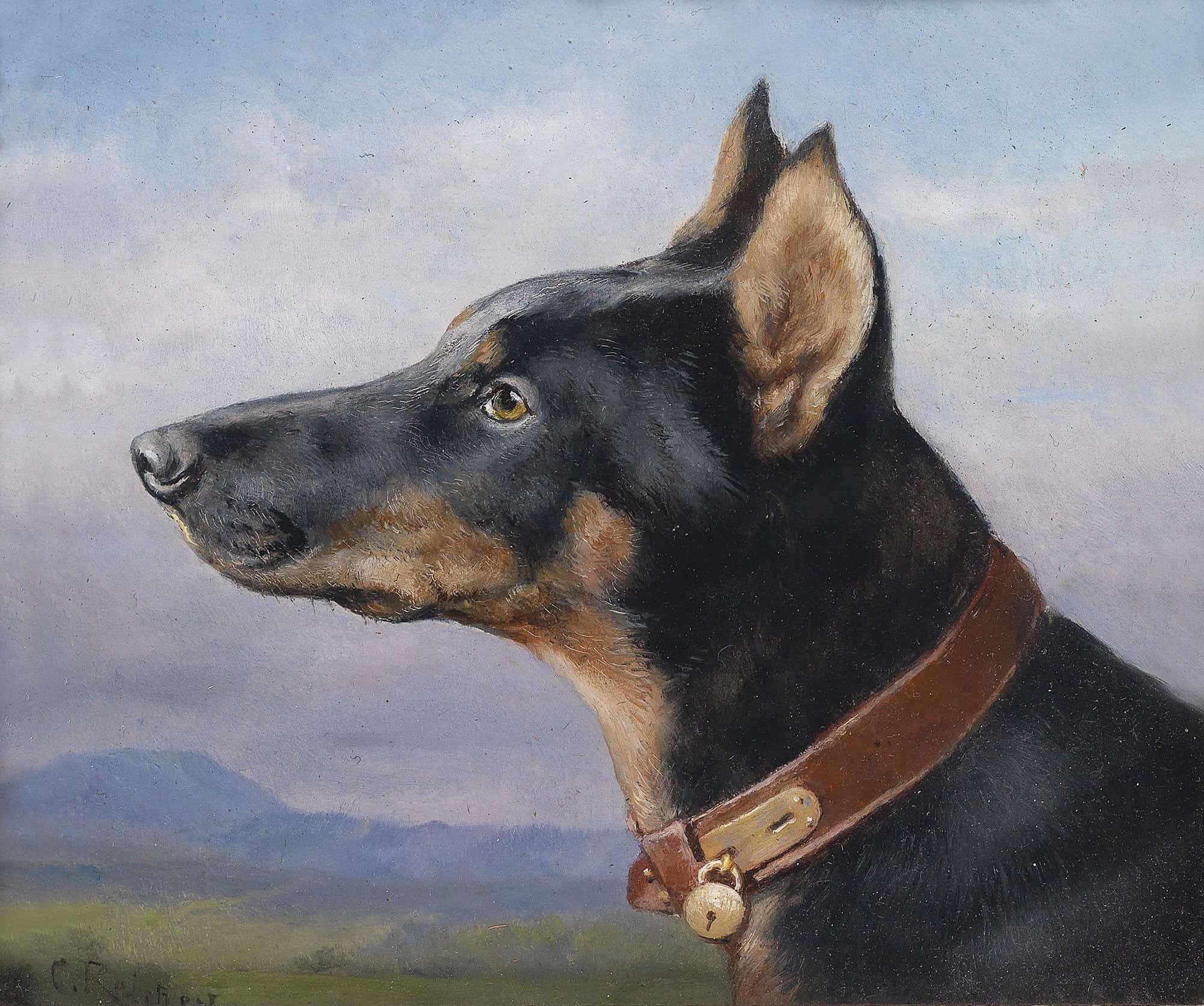 Portrait Eines Dobermanns by Carl Reichert
