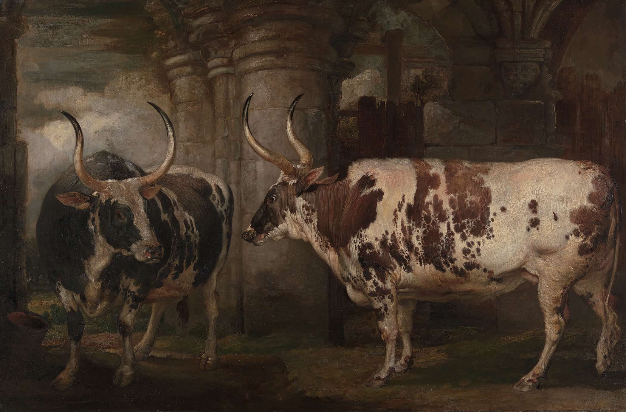 Portraits Of Two Extraordinary Oxen The Property Of The Earl Of Powis by James Ward - Image 2