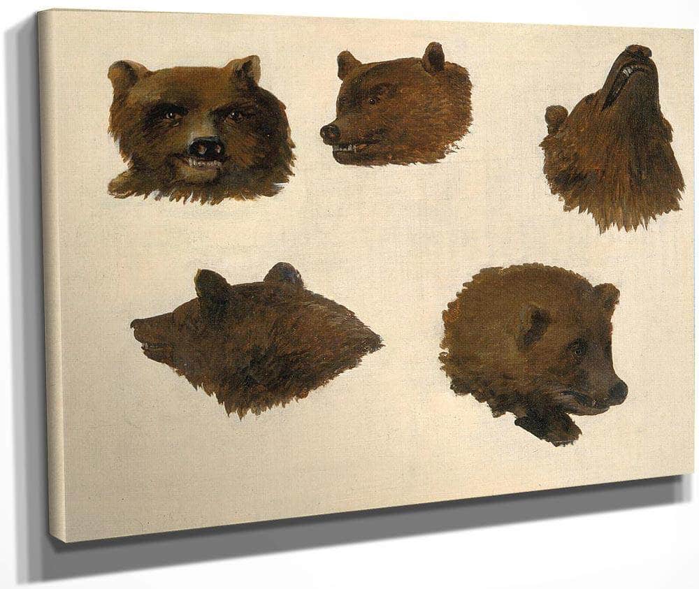 Portraits Of Two Grizzly Bears, From Life By George Catlin