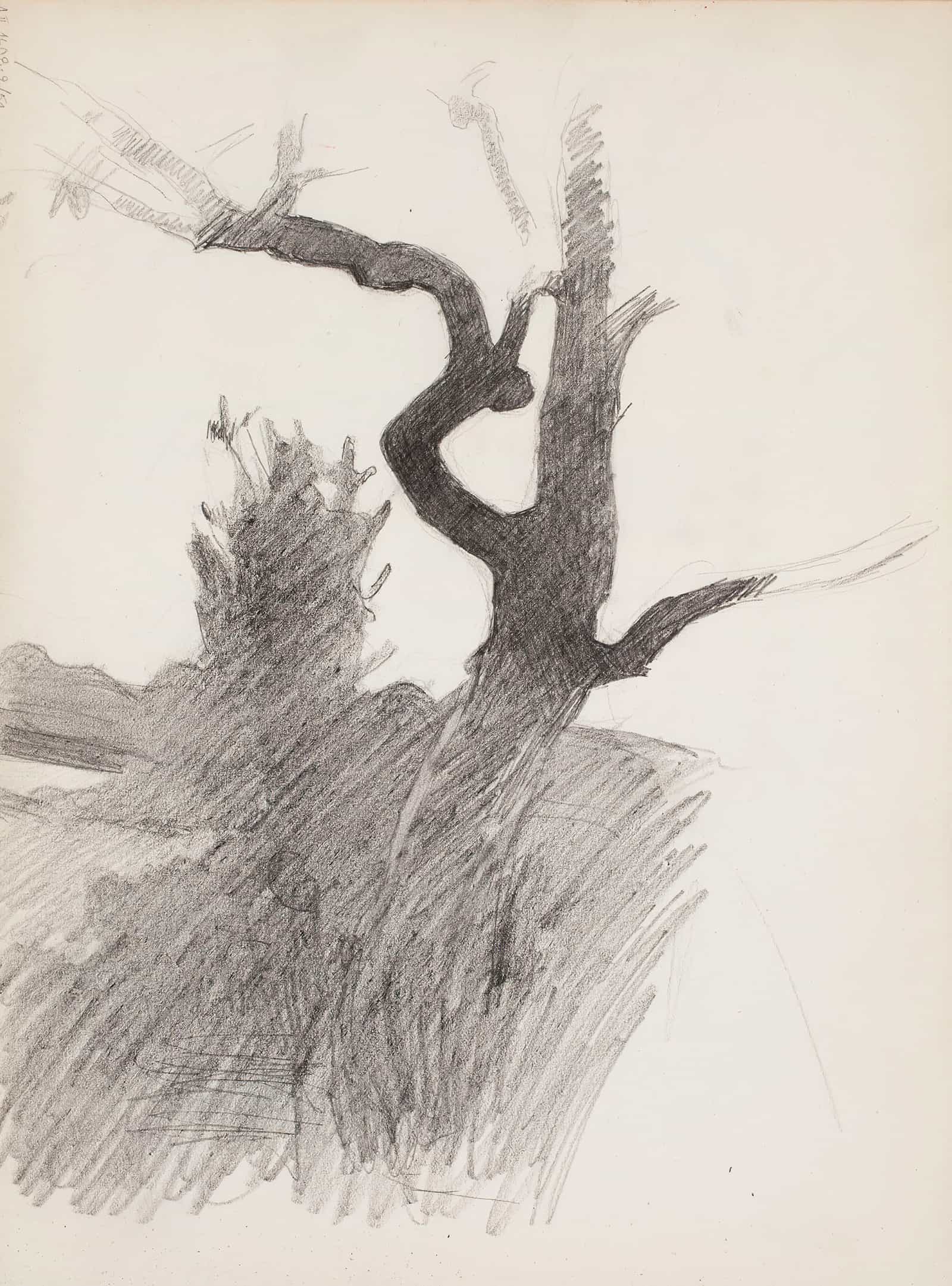 Puunrunko by Magnus Enckell