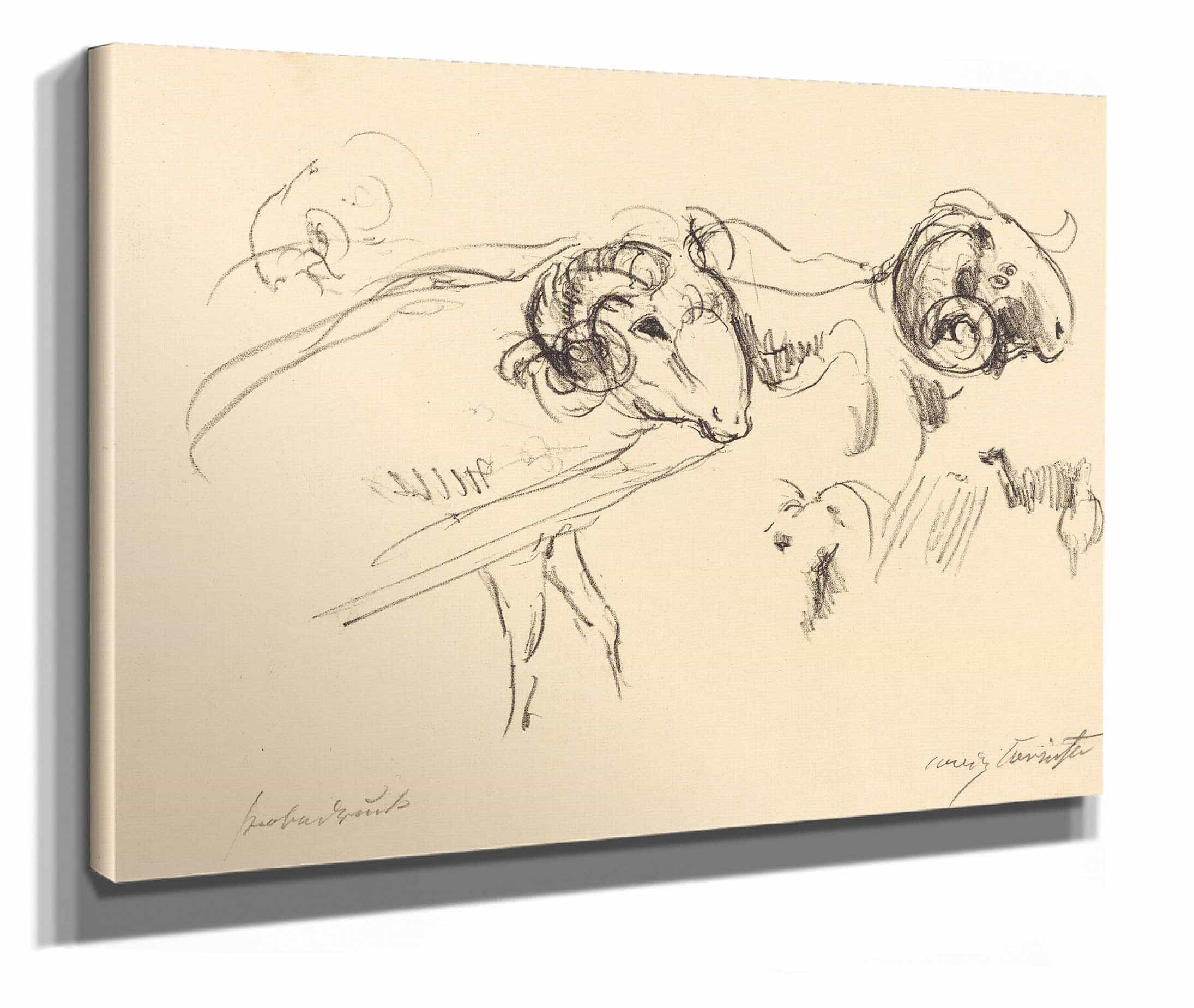 Rams Schafbocke by Lovis Corinth - Image 2