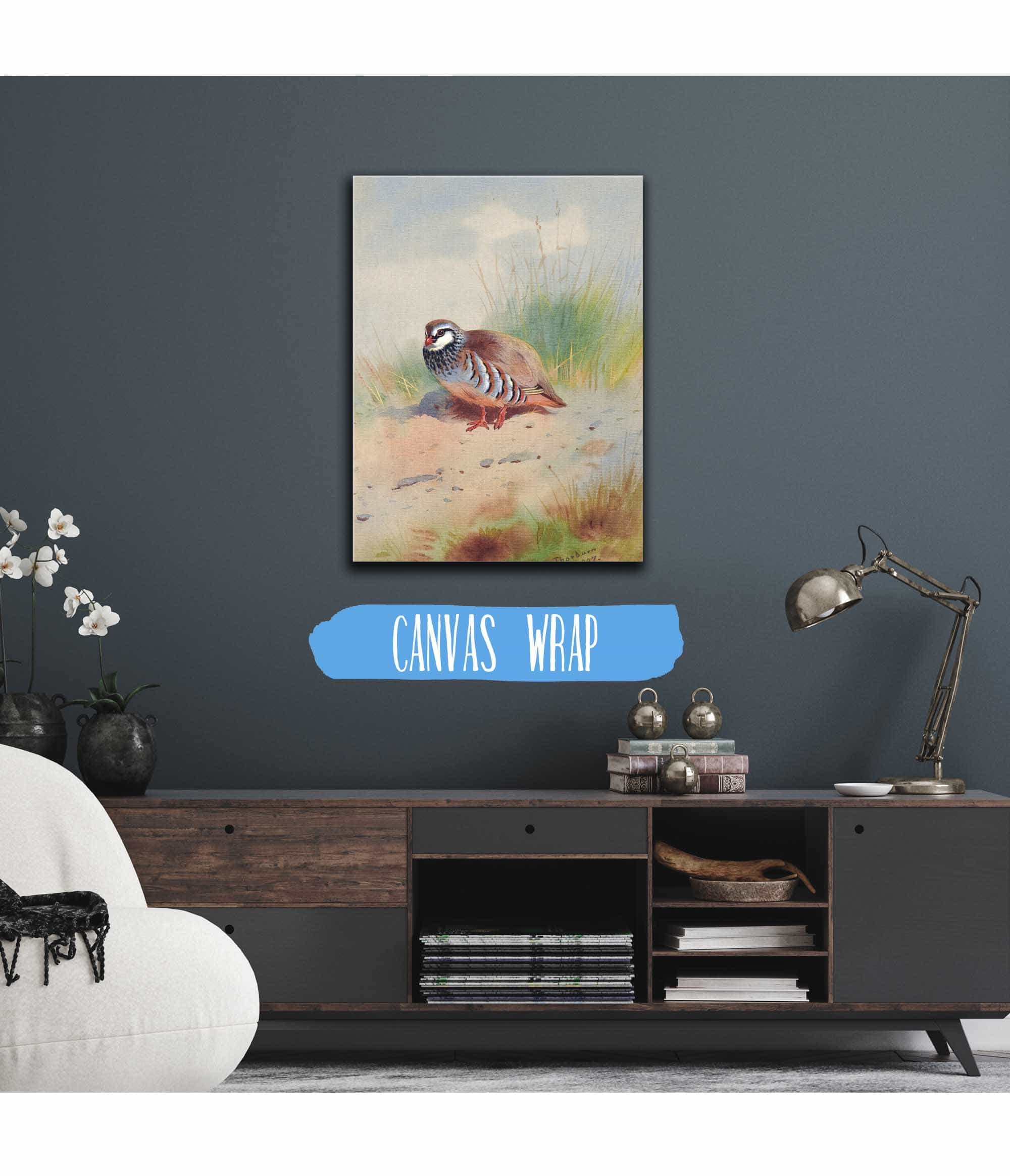 Red Legged Partridge by Archibald Thorburn - Image 3