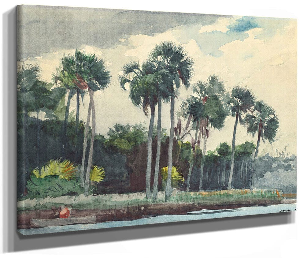 Red Shirt, Homosassa, Florida By Winslow Homer