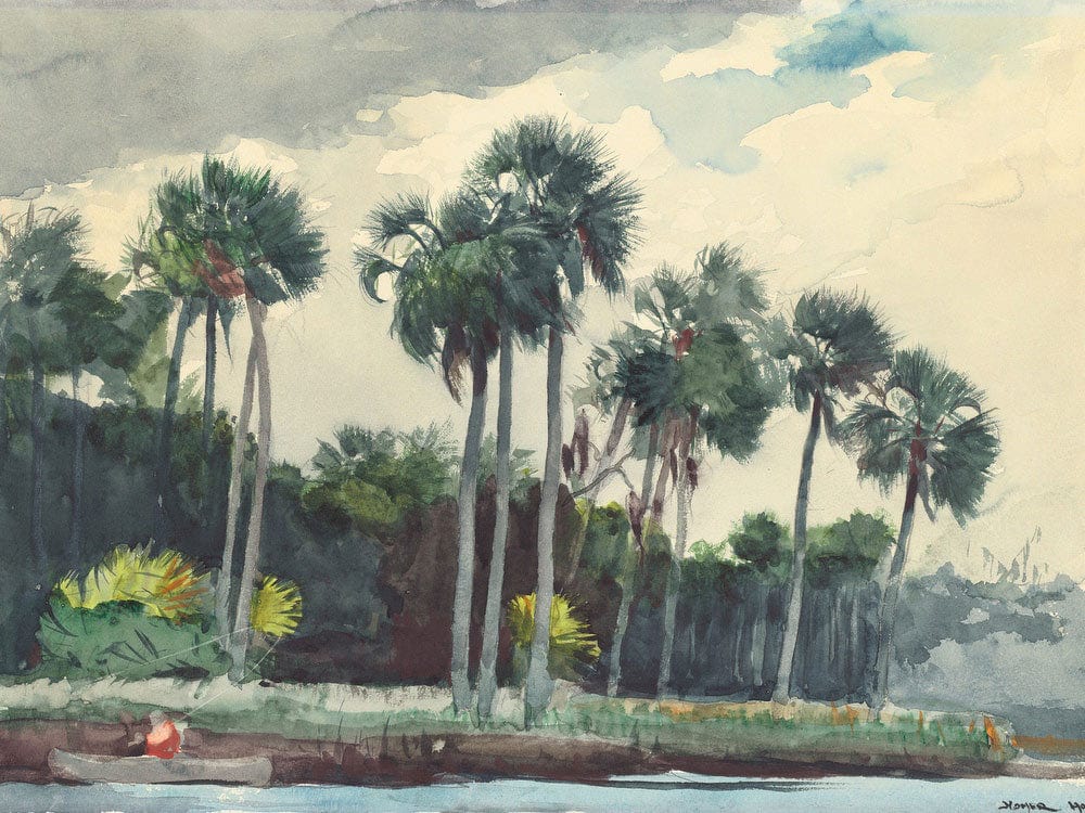 Red Shirt, Homosassa, Florida By Winslow Homer - Image 5