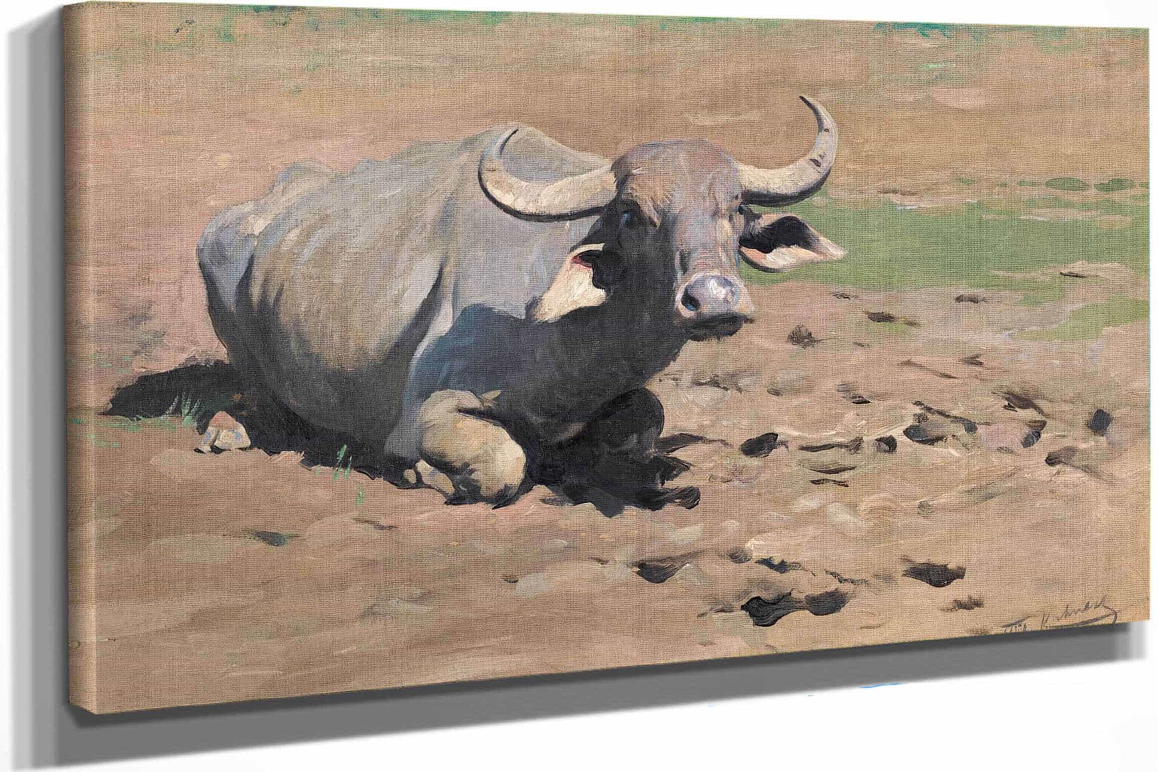 Resting Buffalo by Wilhelm Kuhnert