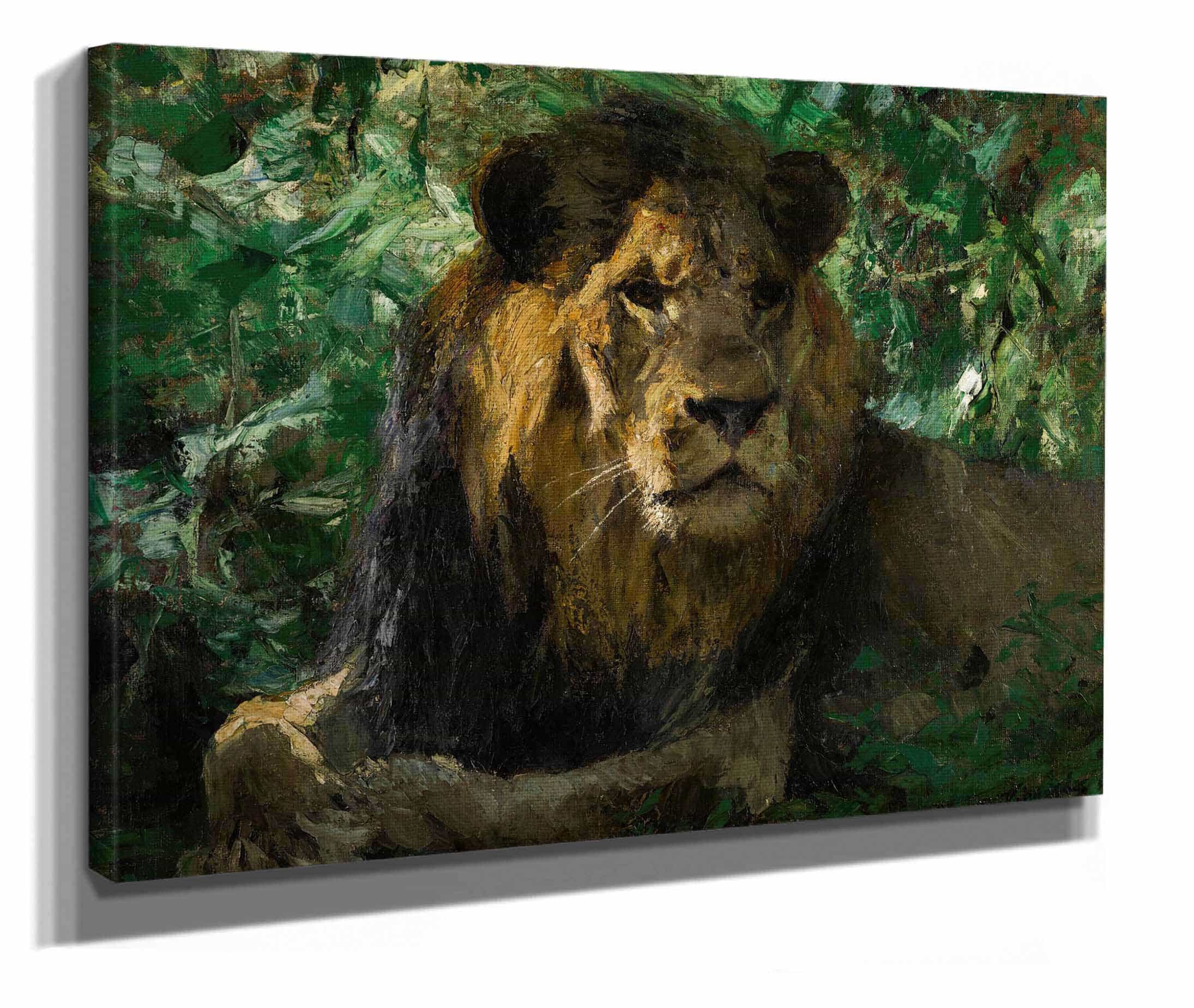 Resting Lion by Wilhelm Kuhnert - Image 2