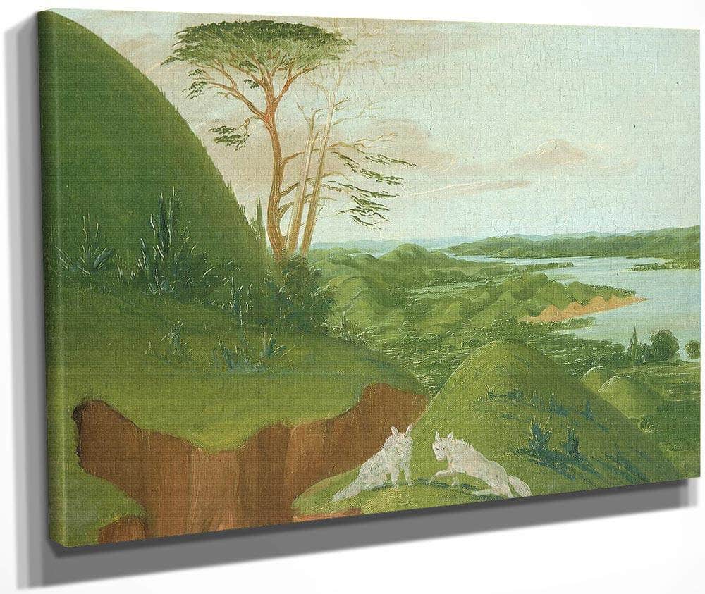 River Bluffs With White Wolves In The Foreground, Upper Missouri By George Catlin