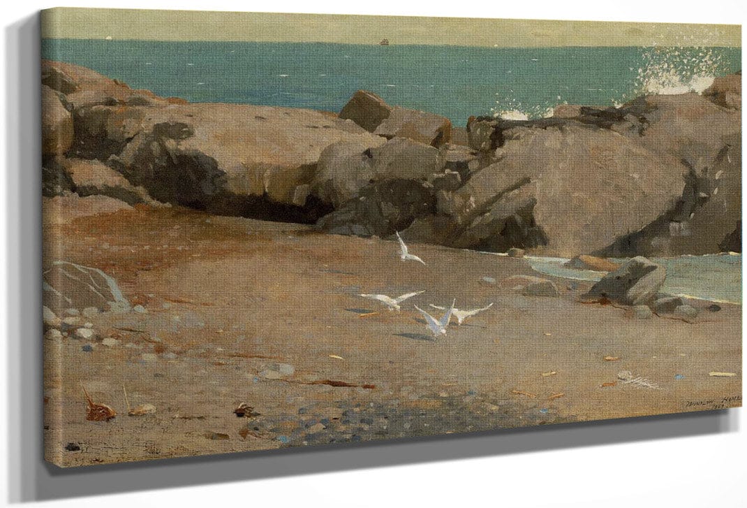 Rocky Coast And Gulls 1869 By Winslow Homer