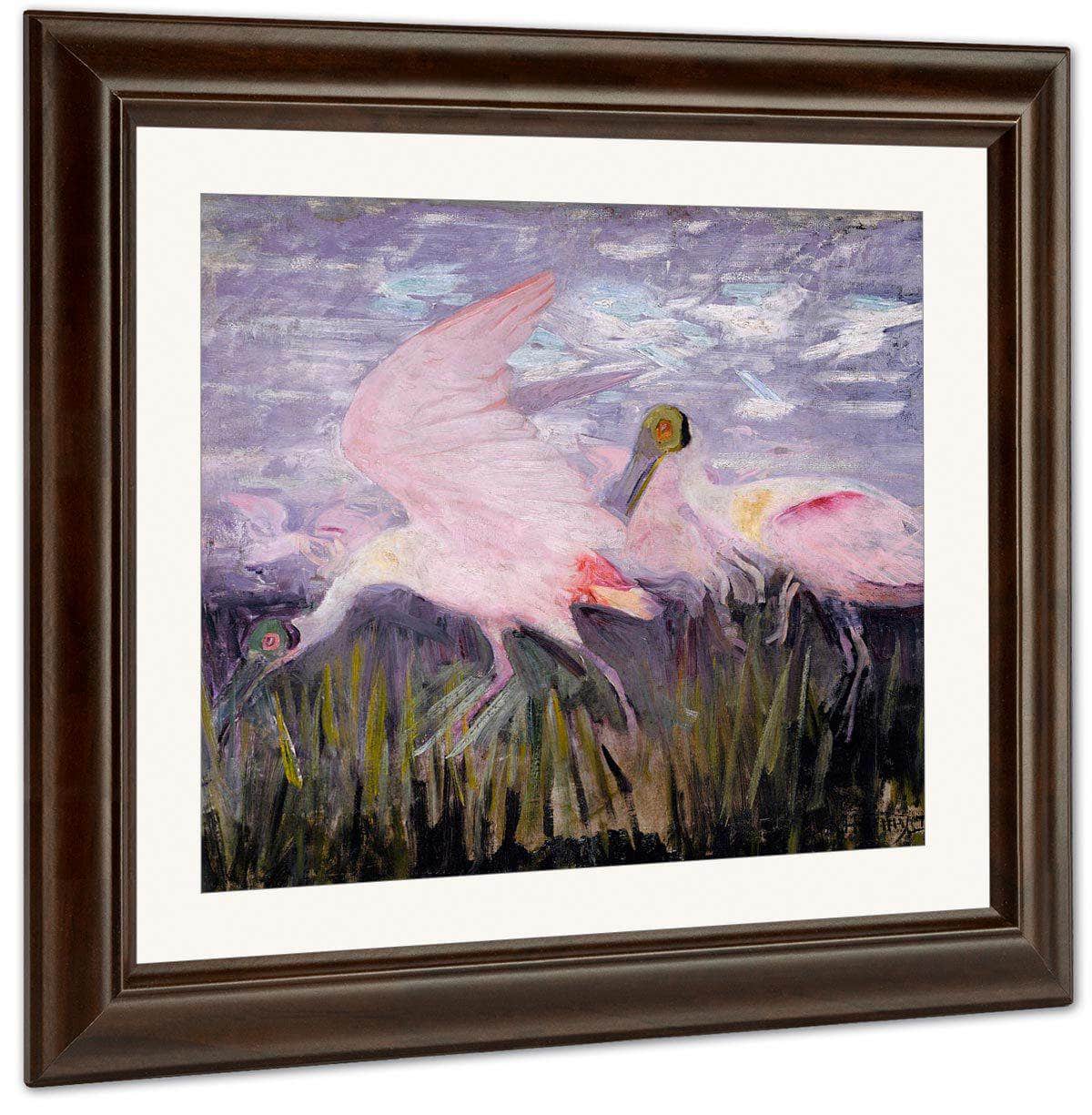 Roseate Spoonbills, Study For Book Concealing Coloration In The Animal Kingdom By Abbott Handerson Thayer - Image 3