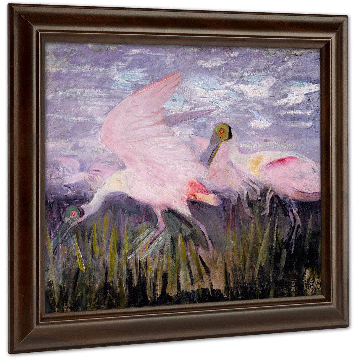 Roseate Spoonbills, Study For Book Concealing Coloration In The Animal Kingdom By Abbott Handerson Thayer - Image 4