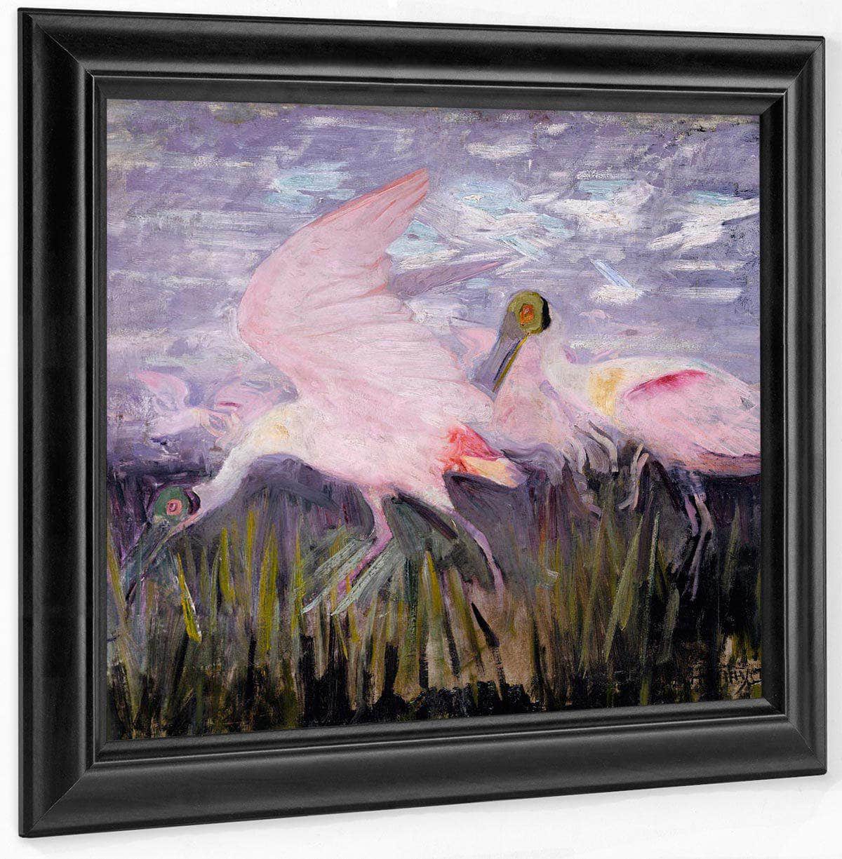 Roseate Spoonbills, Study For Book Concealing Coloration In The Animal Kingdom By Abbott Handerson Thayer - Image 6