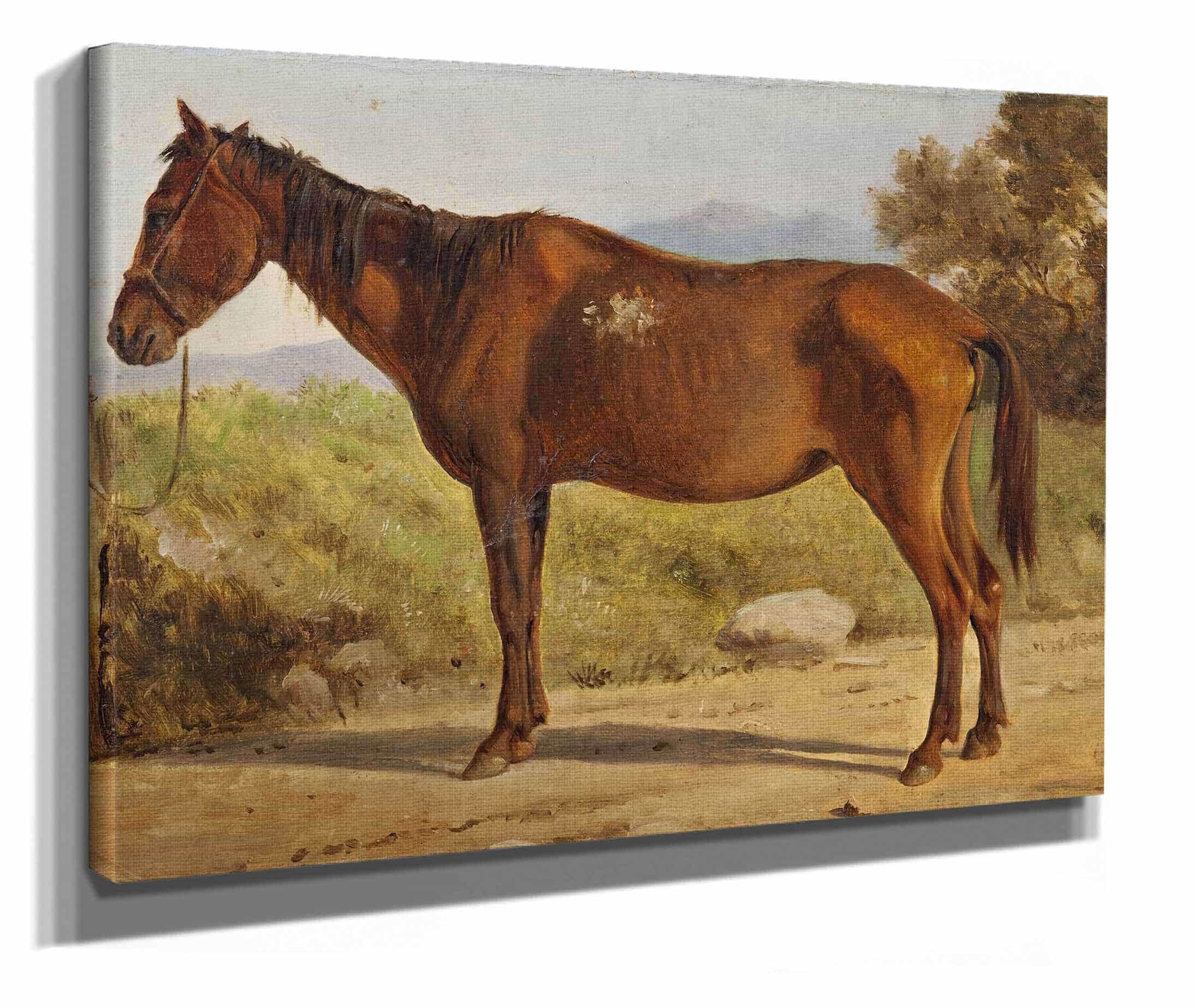 Rosinante Study Of An Old Standing Horse by Wilhelm Marstrand - Image 2