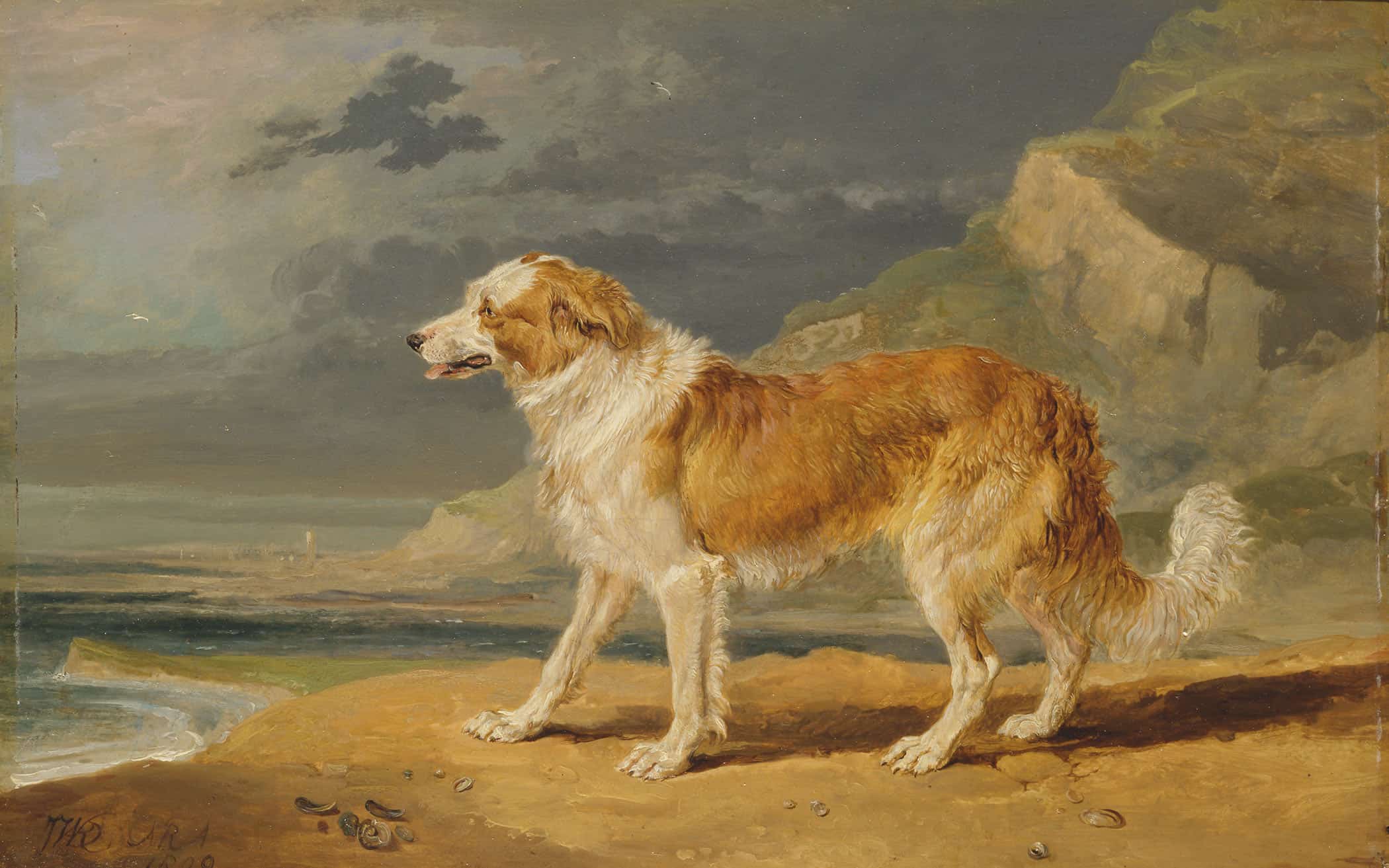 Rough Coated Collie by James Ward - Image 2