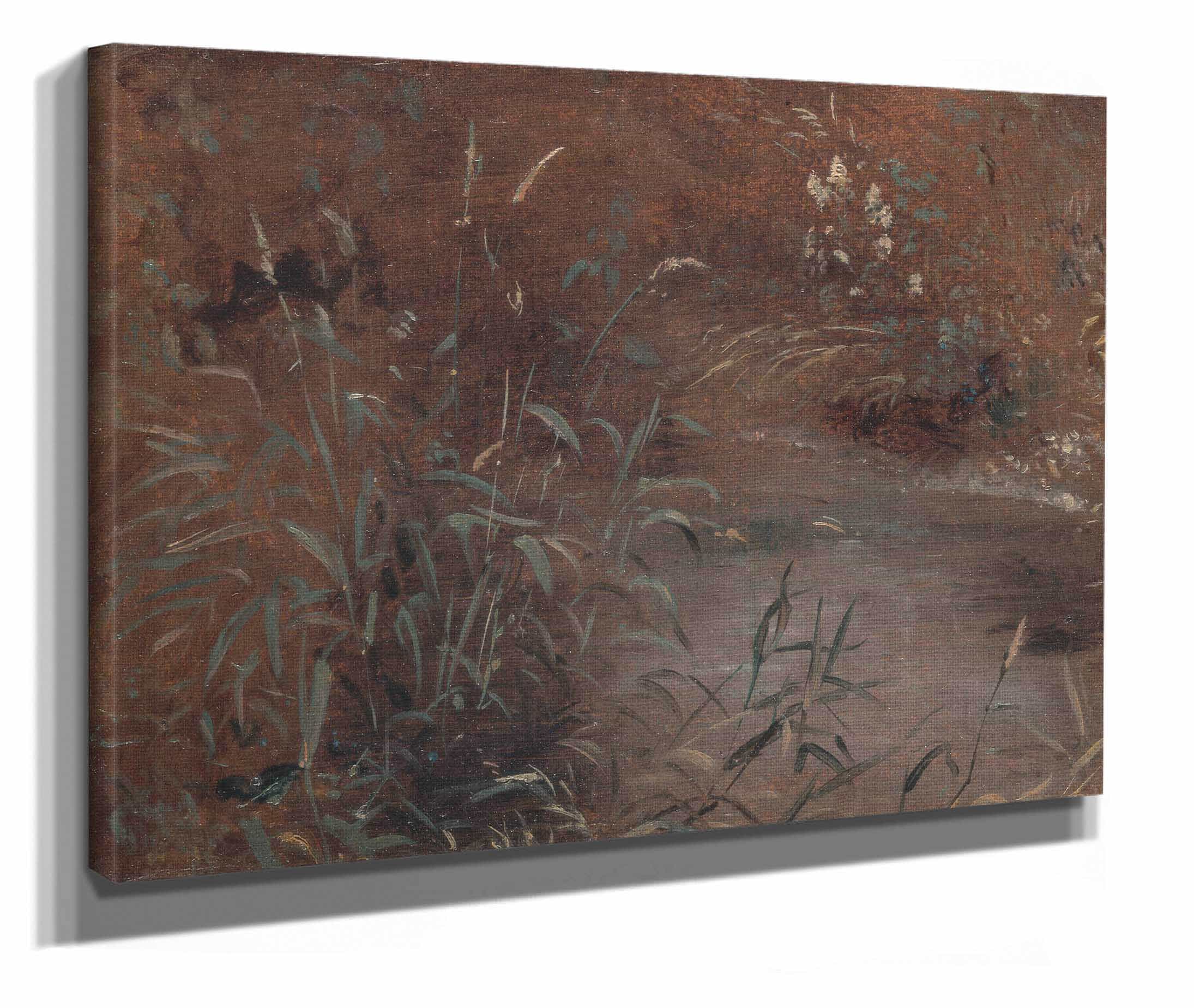 Rushes By A Pool by John Constable - Image 2