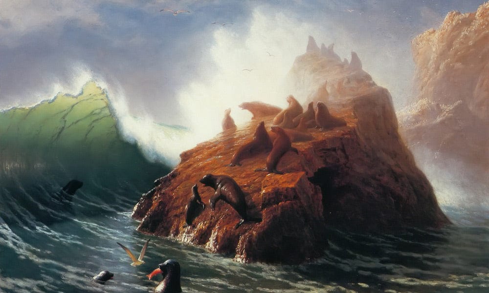 Seal Rock By Albert Bierstadt - Image 5