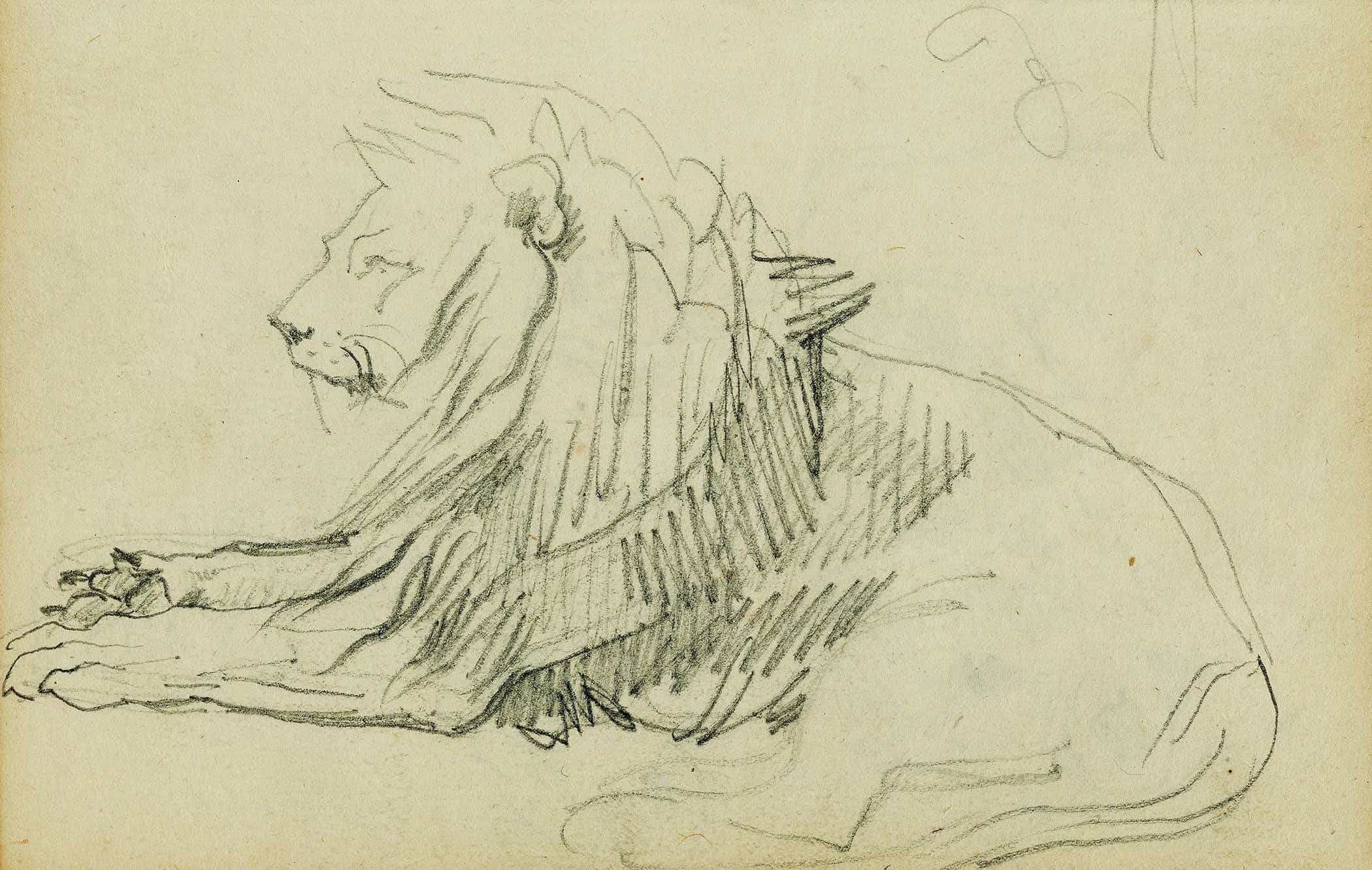 Seated Lion by Theodore Gericault - Image 3