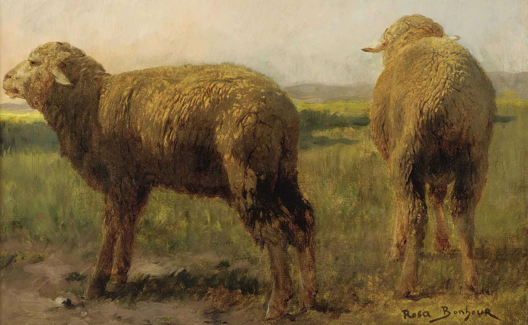 Sheep In A Meadow by Rosa Bonheur - Image 2