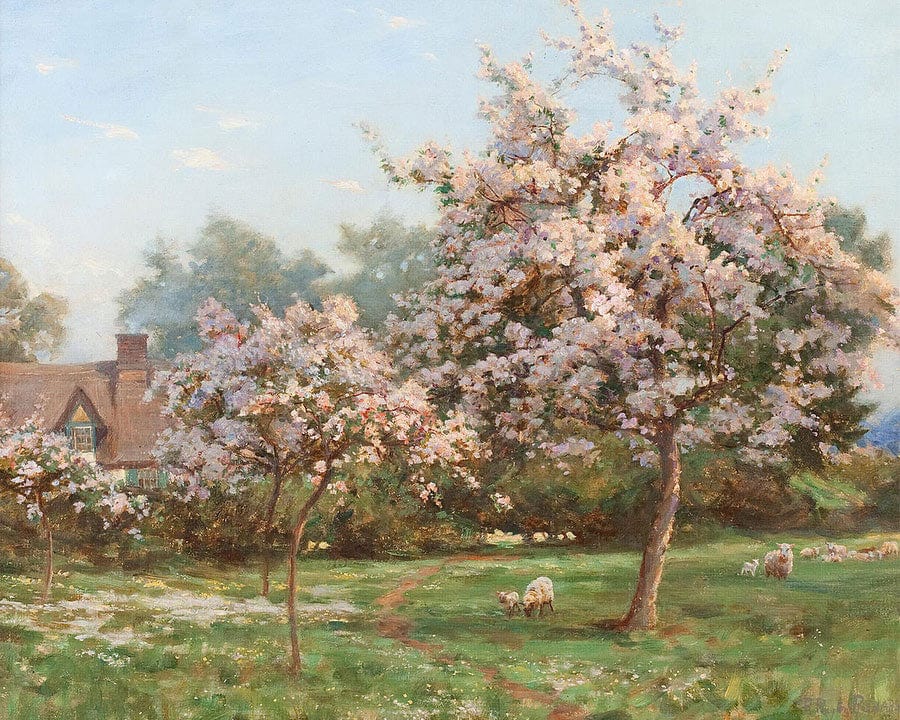 Sheep In An Orchard By Robert Reid - Image 7
