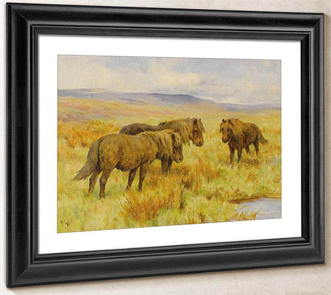 Shetland Ponies By Arthur Wardle - Image 4