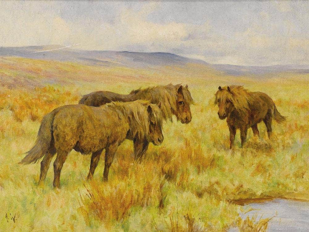 Shetland Ponies By Arthur Wardle - Image 7