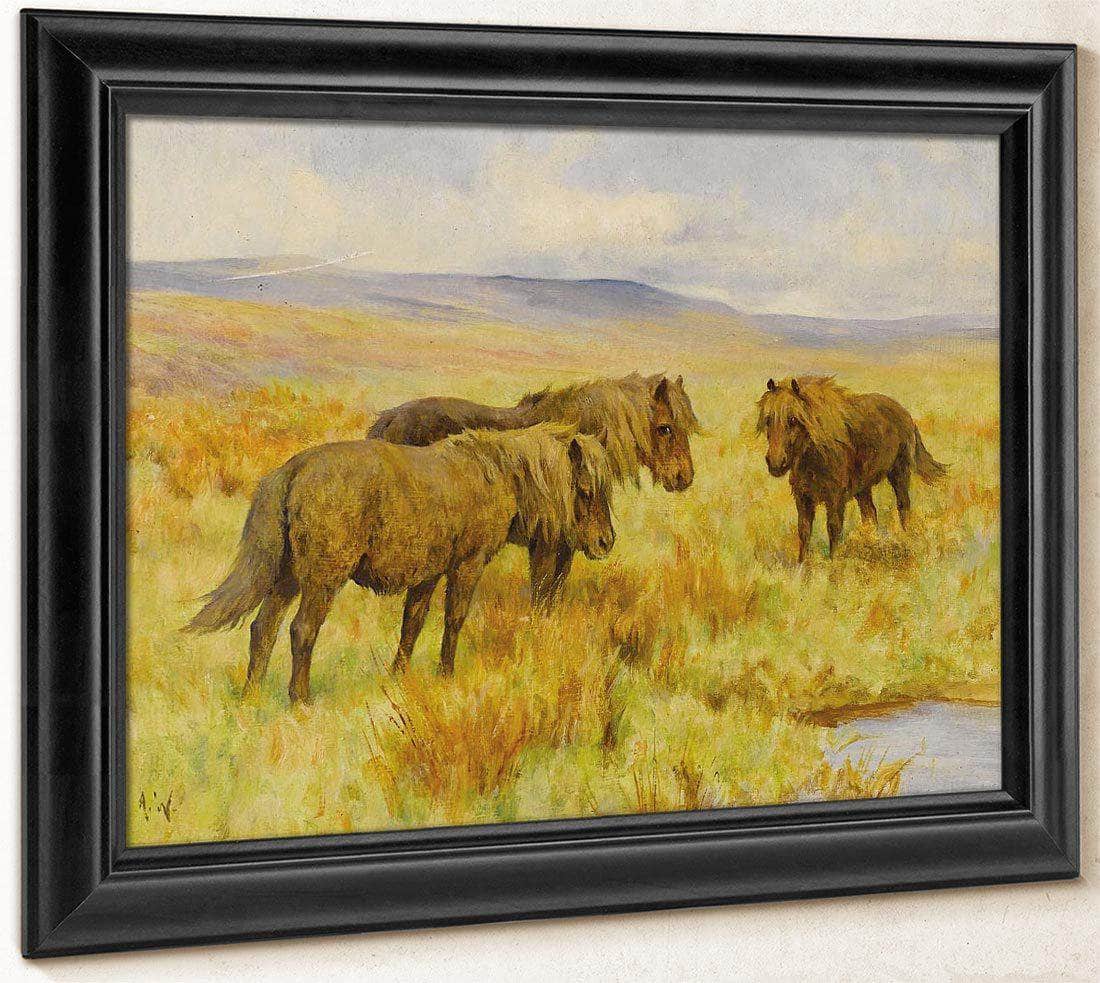 Shetland Ponies By Arthur Wardle - Image 8