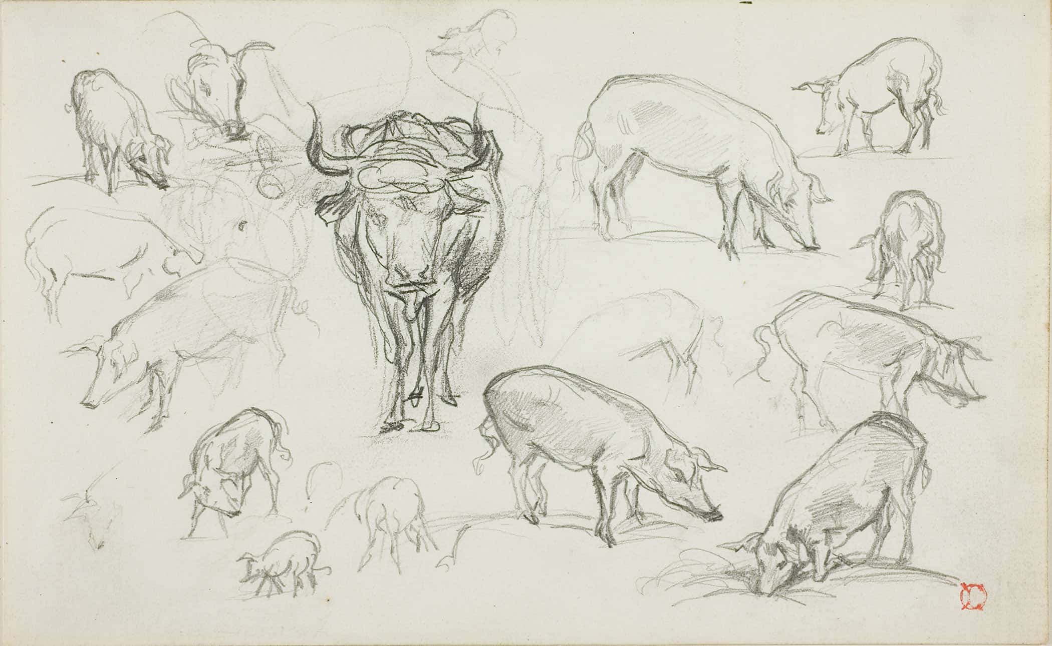 Sketches Of Swine And An Ox by Charles Francois Daubigny - Image 2