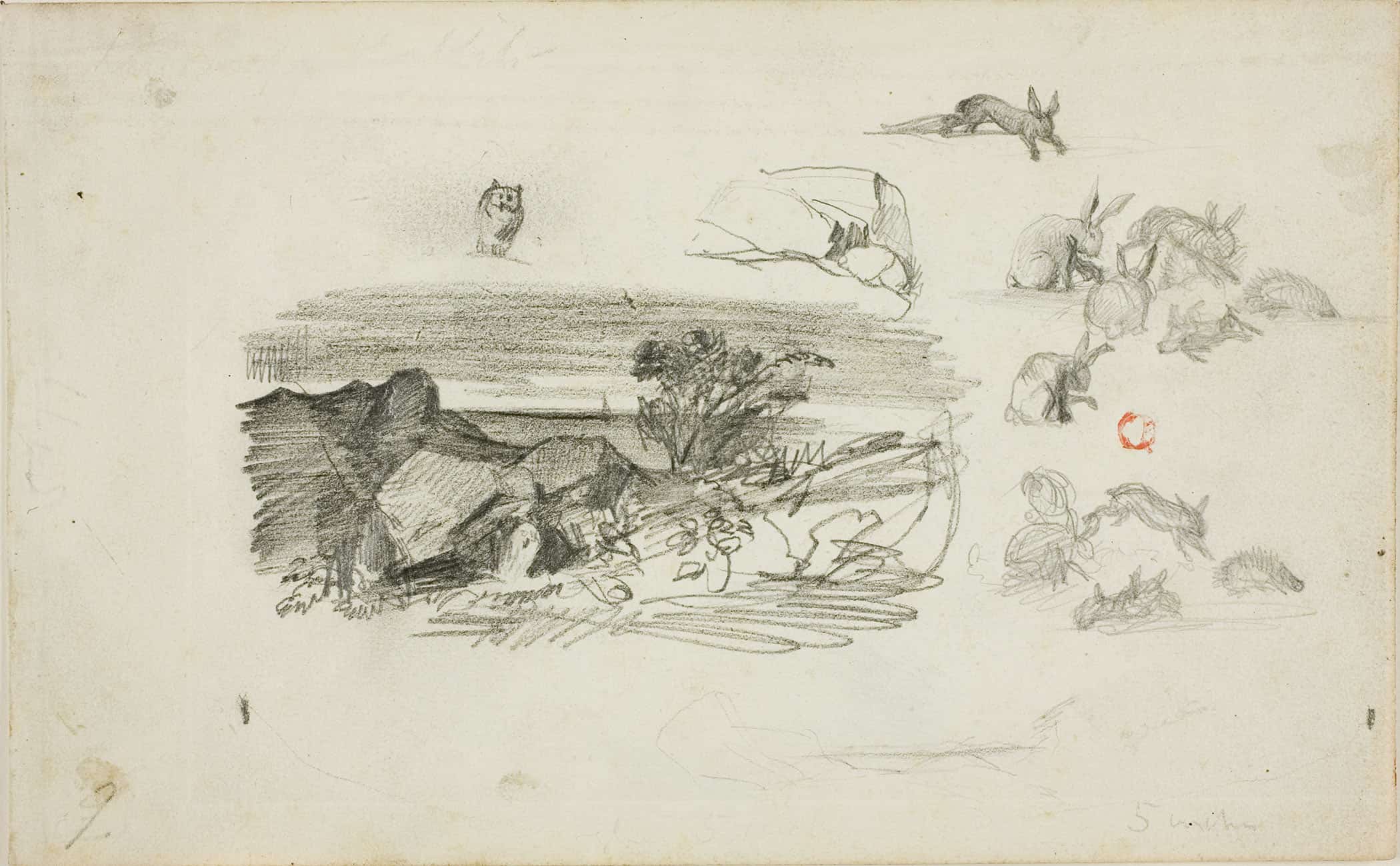 Sketches Rocky Setting And Rabbits by Charles Francois Daubigny - Image 2