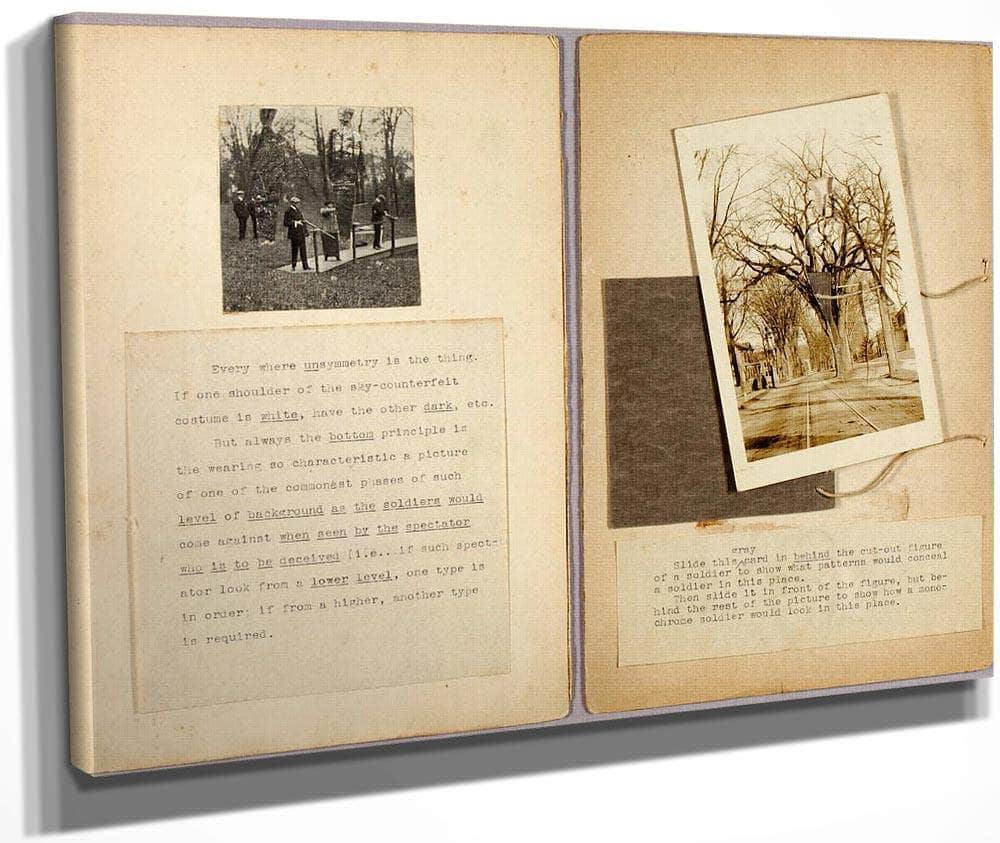 Slide This Grey Card..., Study Folder For Book Concealing Coloration In The Animal Kingdom By Abbott Handerson Thayer