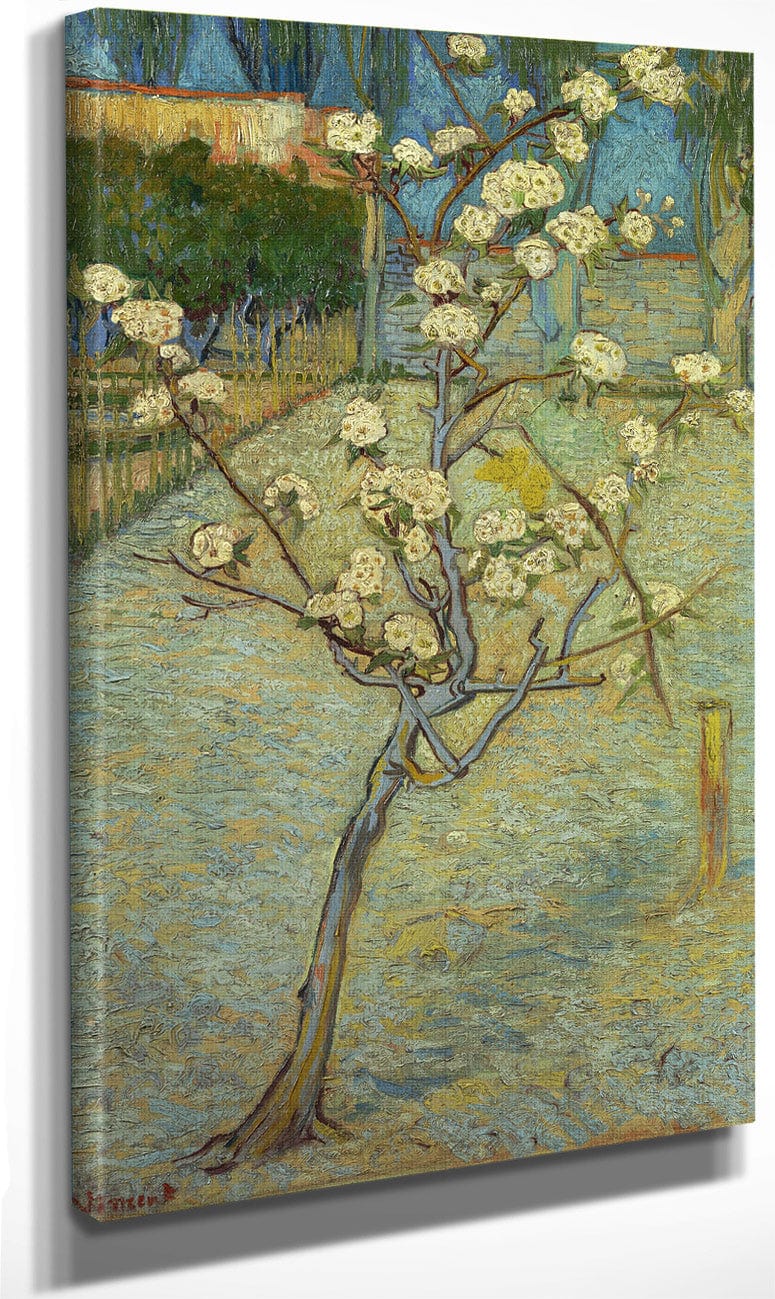 Small Pear Tree In Blossom By Vincent Van Gogh