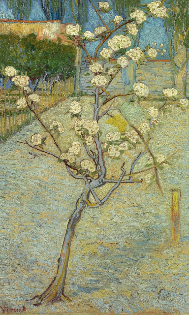 Small Pear Tree In Blossom By Vincent Van Gogh - Image 6