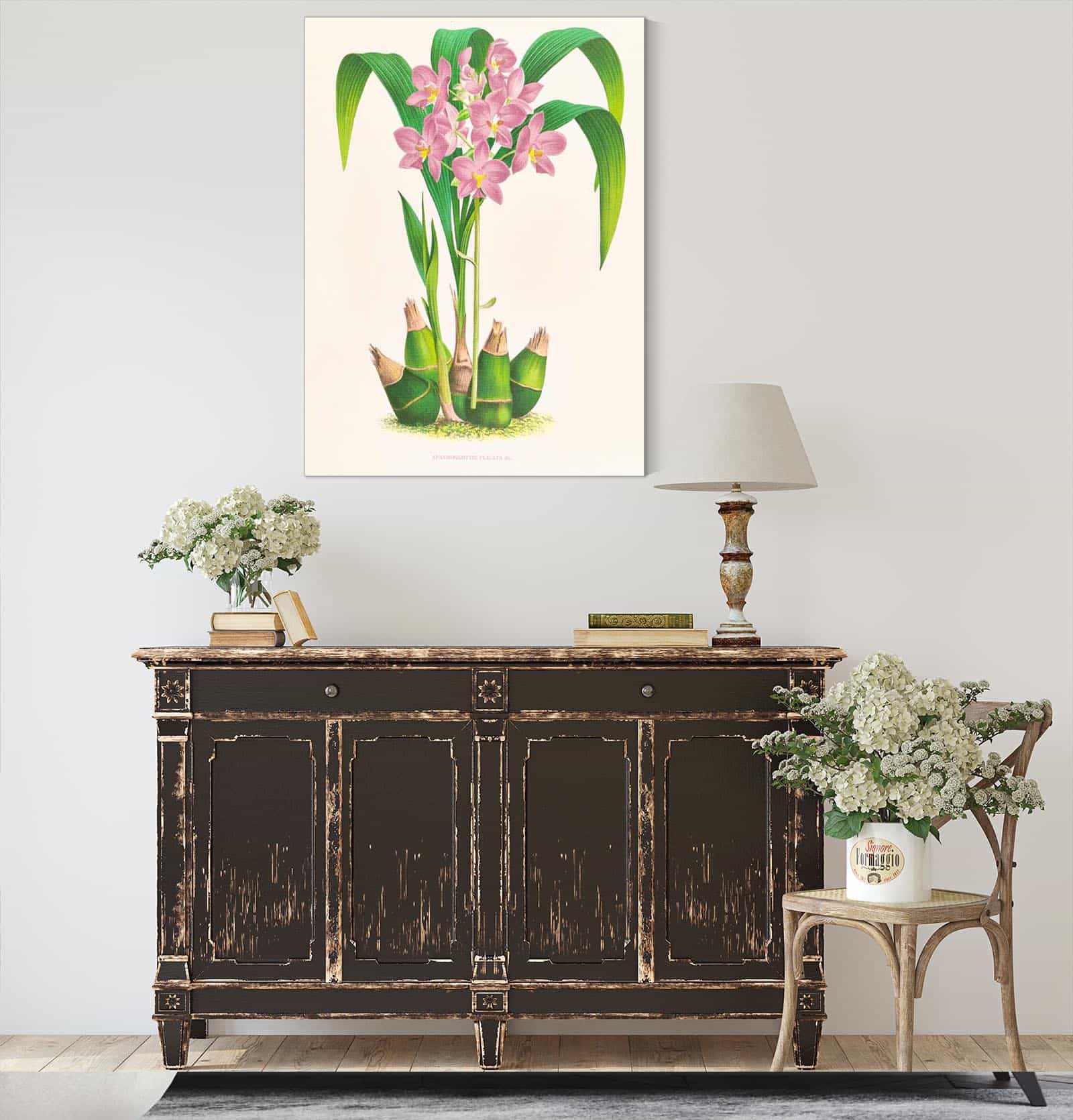 Spathoglottis Plicata by Jean Jules Linden - Image 4