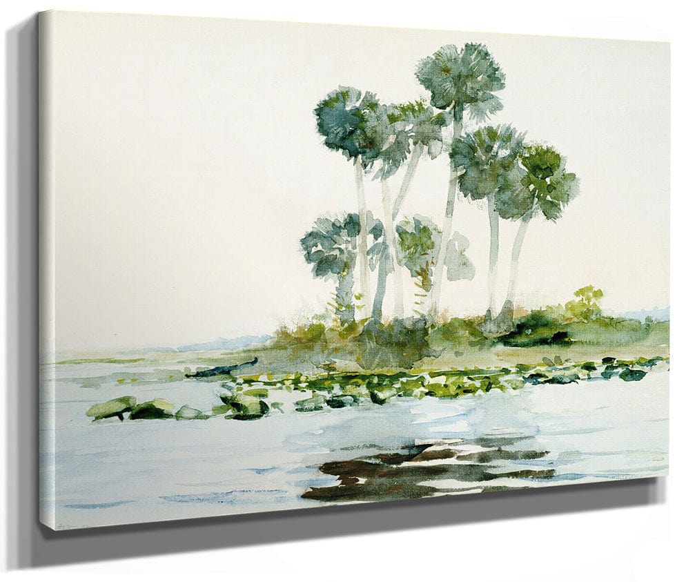St. Johns River, Florida By Winslow Homer