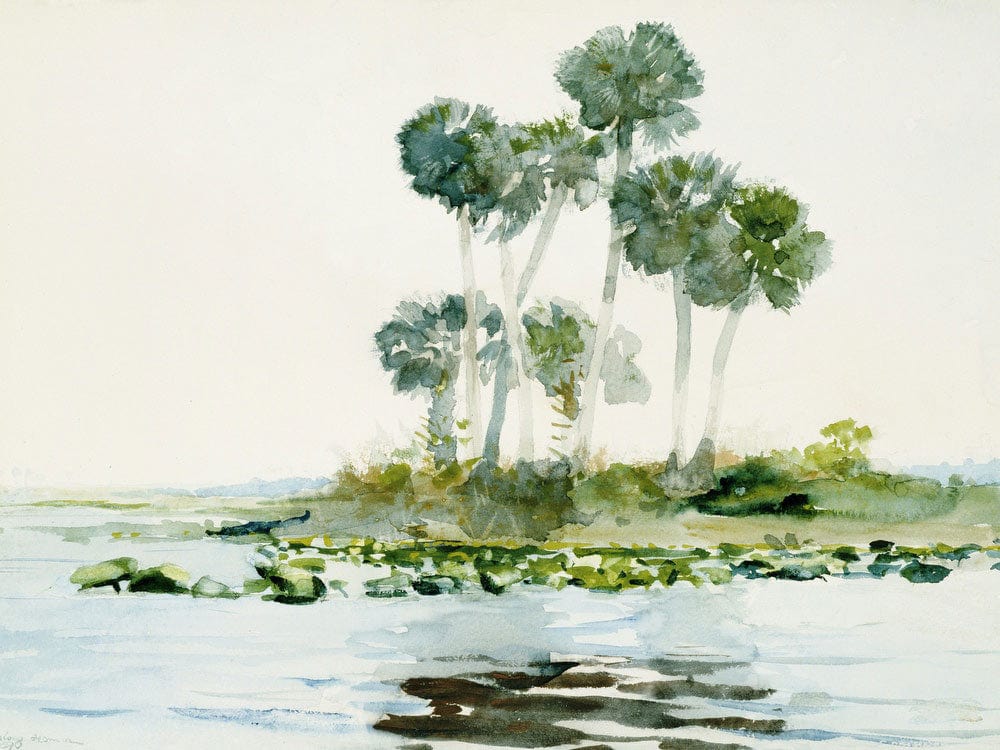 St. Johns River, Florida By Winslow Homer - Image 5