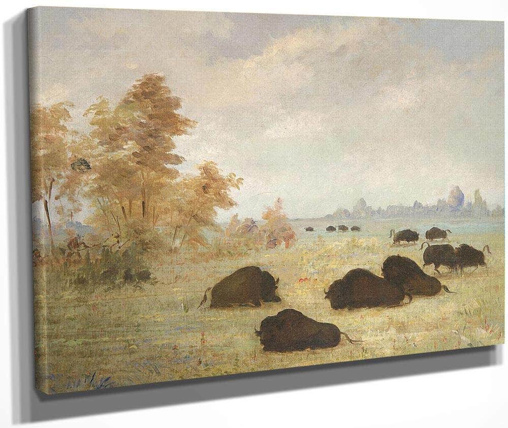 Stalking Buffalo, Arkansas By George Catlin