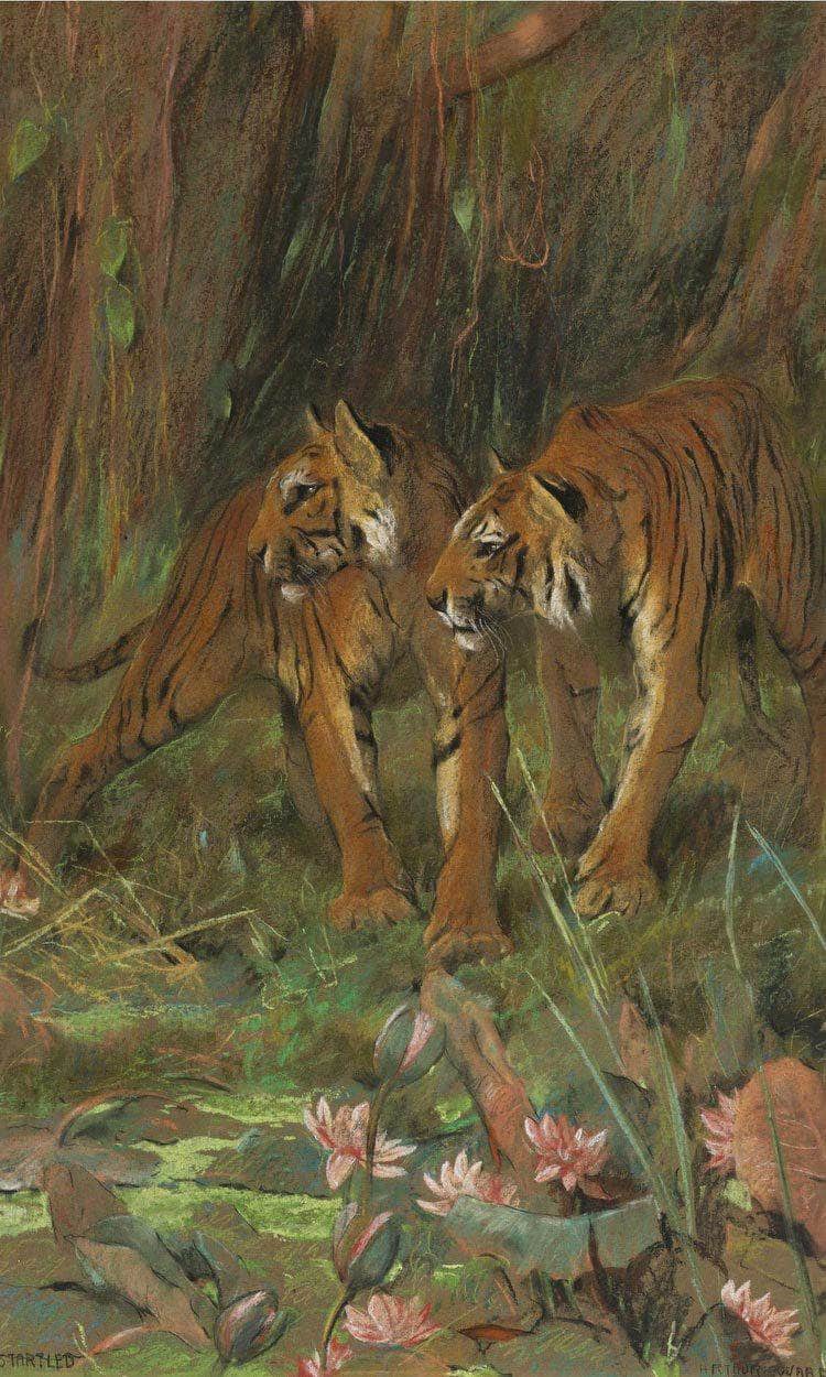 Startled By Arthur Wardle - Image 6