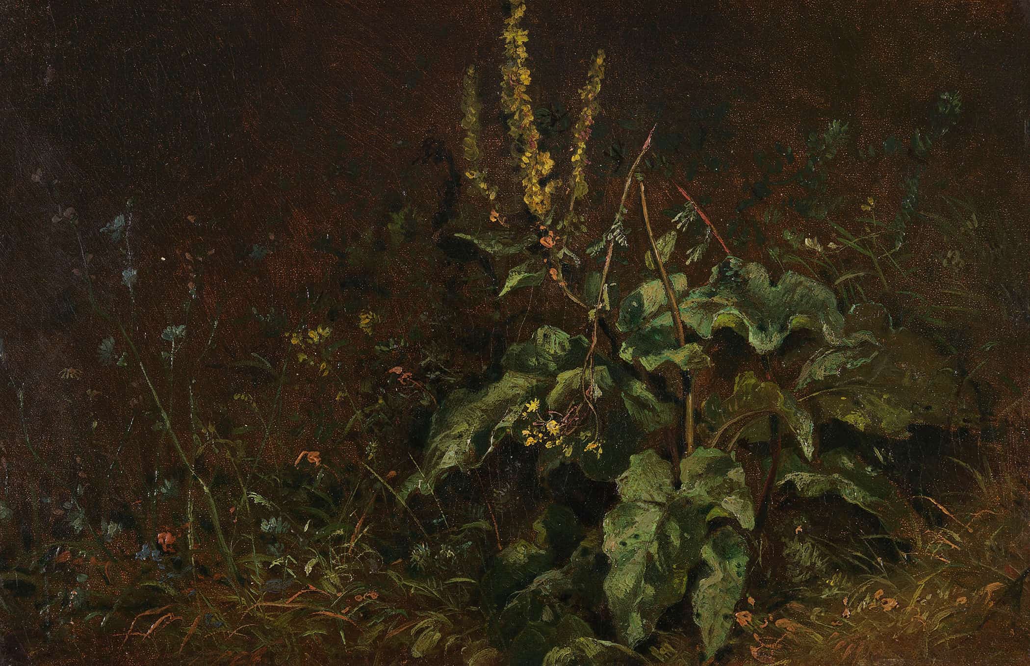 Stauden Konigskerzen Und Graser by Carl Spitzweg - Image 2