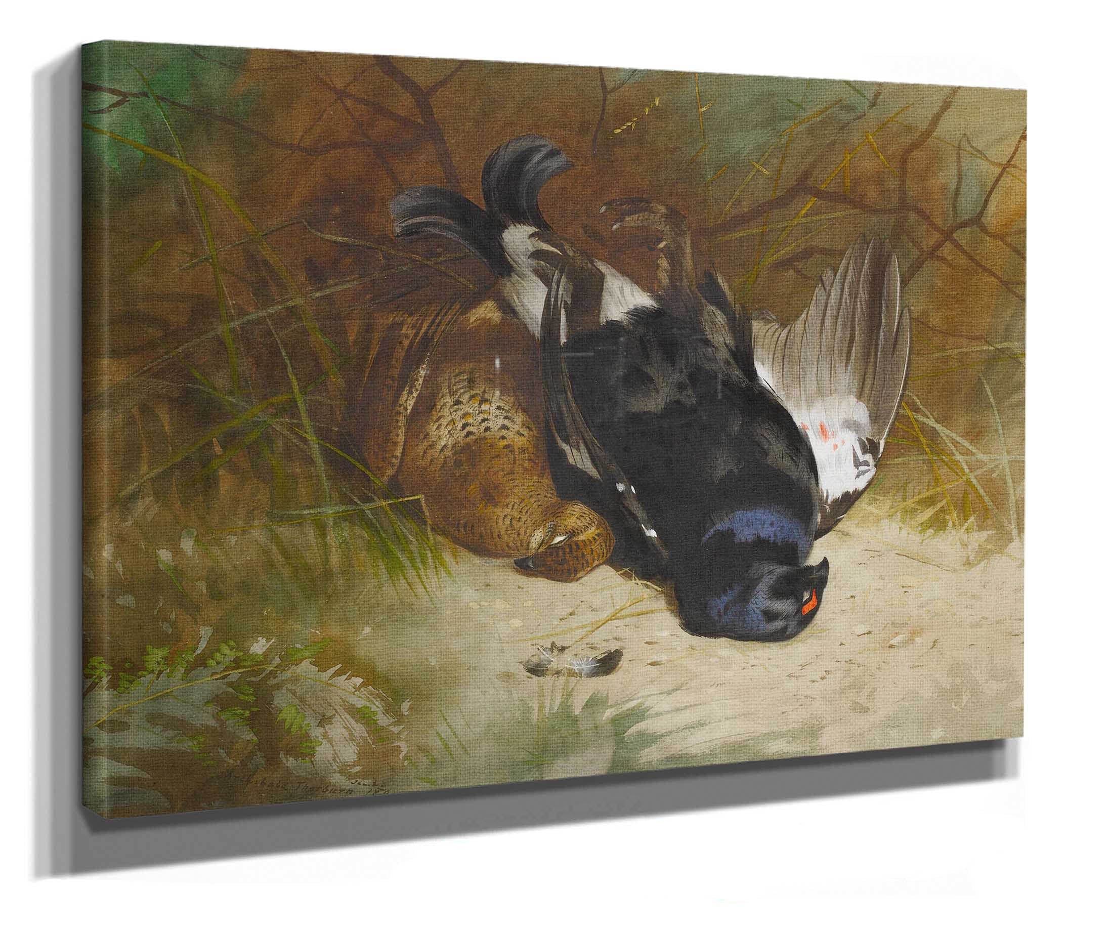 Still Life Of A Pair Of Blackgame by Archibald Thorburn - Image 2