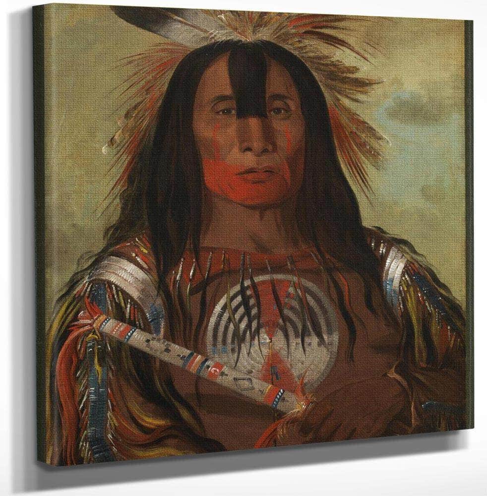 Stu Mick O Súcks, Buffalo Bull's Back Fat, Head Chief, Blood Tribe By George Catlin