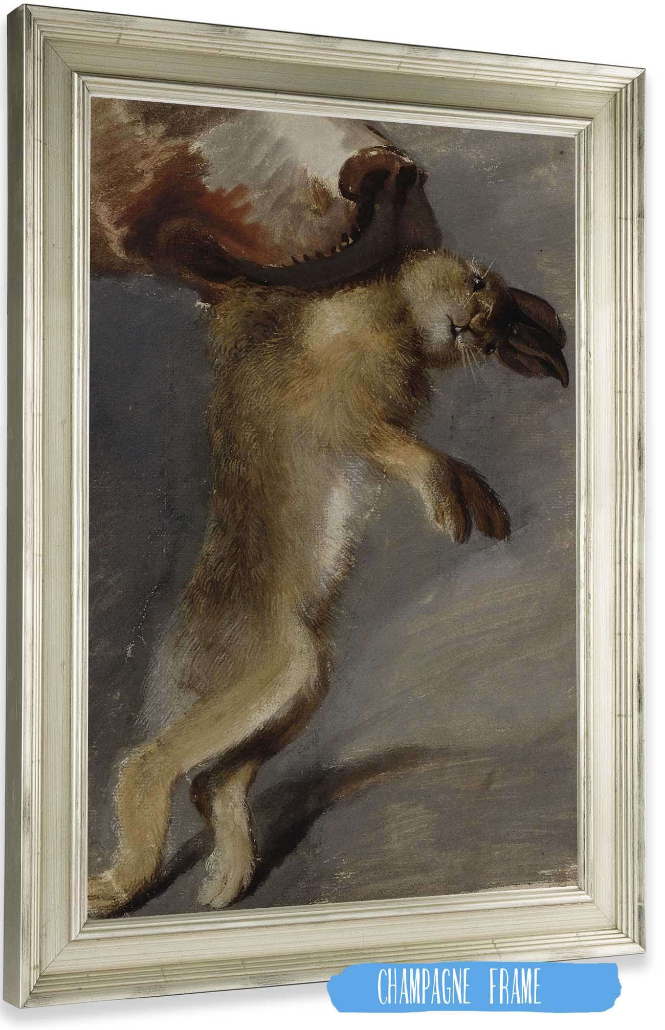 Studie Eines Hasen by Johann Peter Krafft