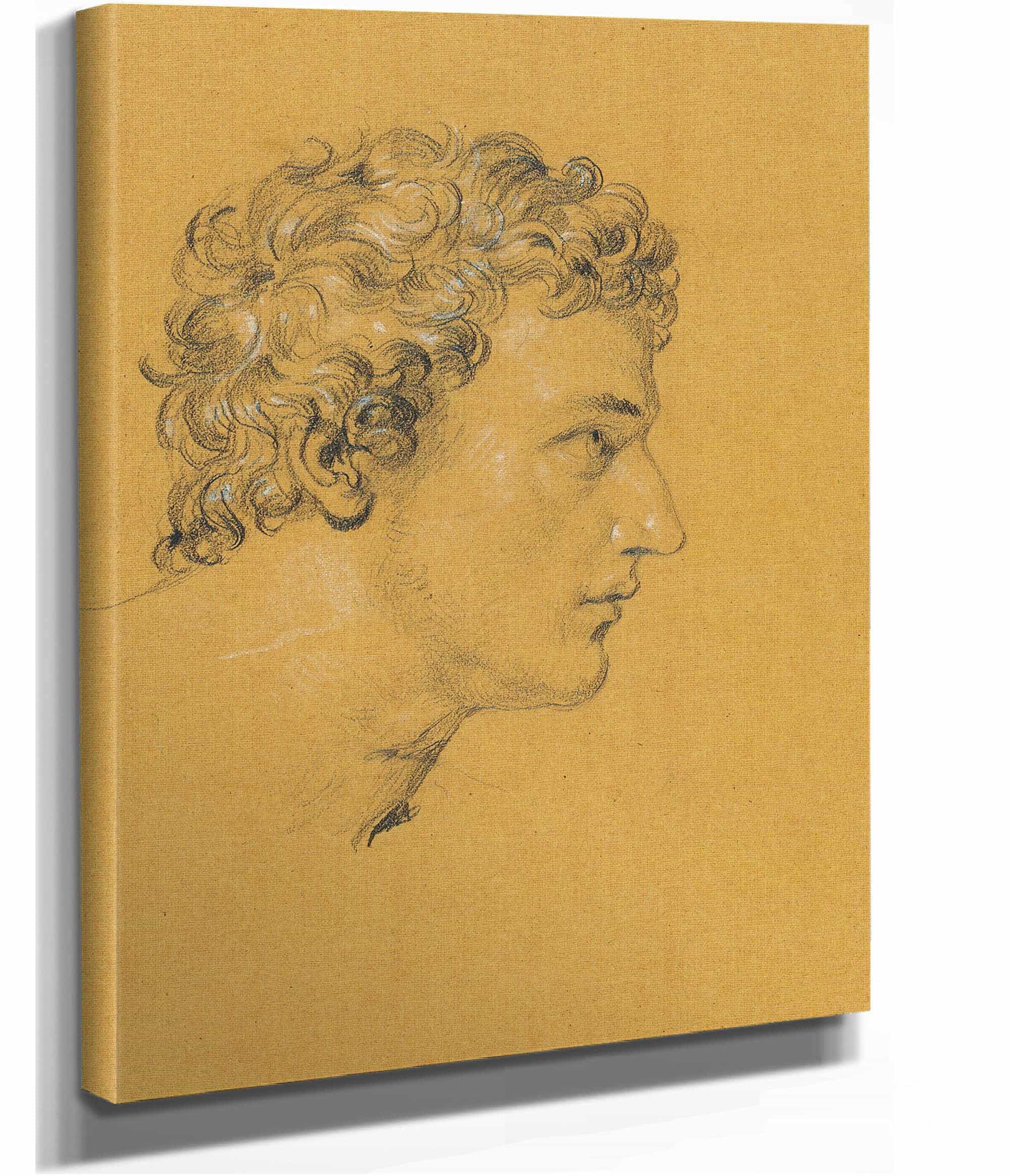 Studie Eines Kopfes by Johann Peter Krafft - Image 2