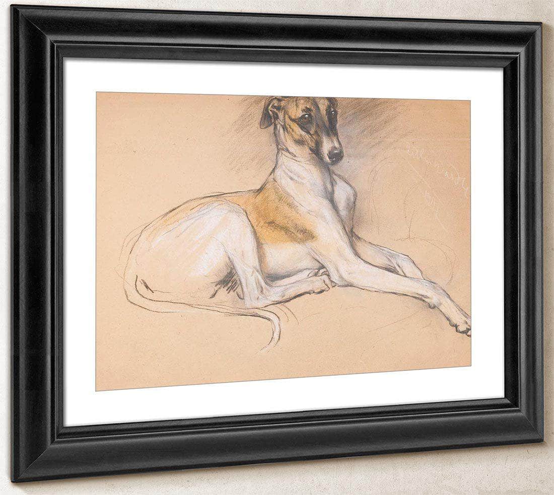 Studies Of A Greyhound By Arthur Wardle - Image 4