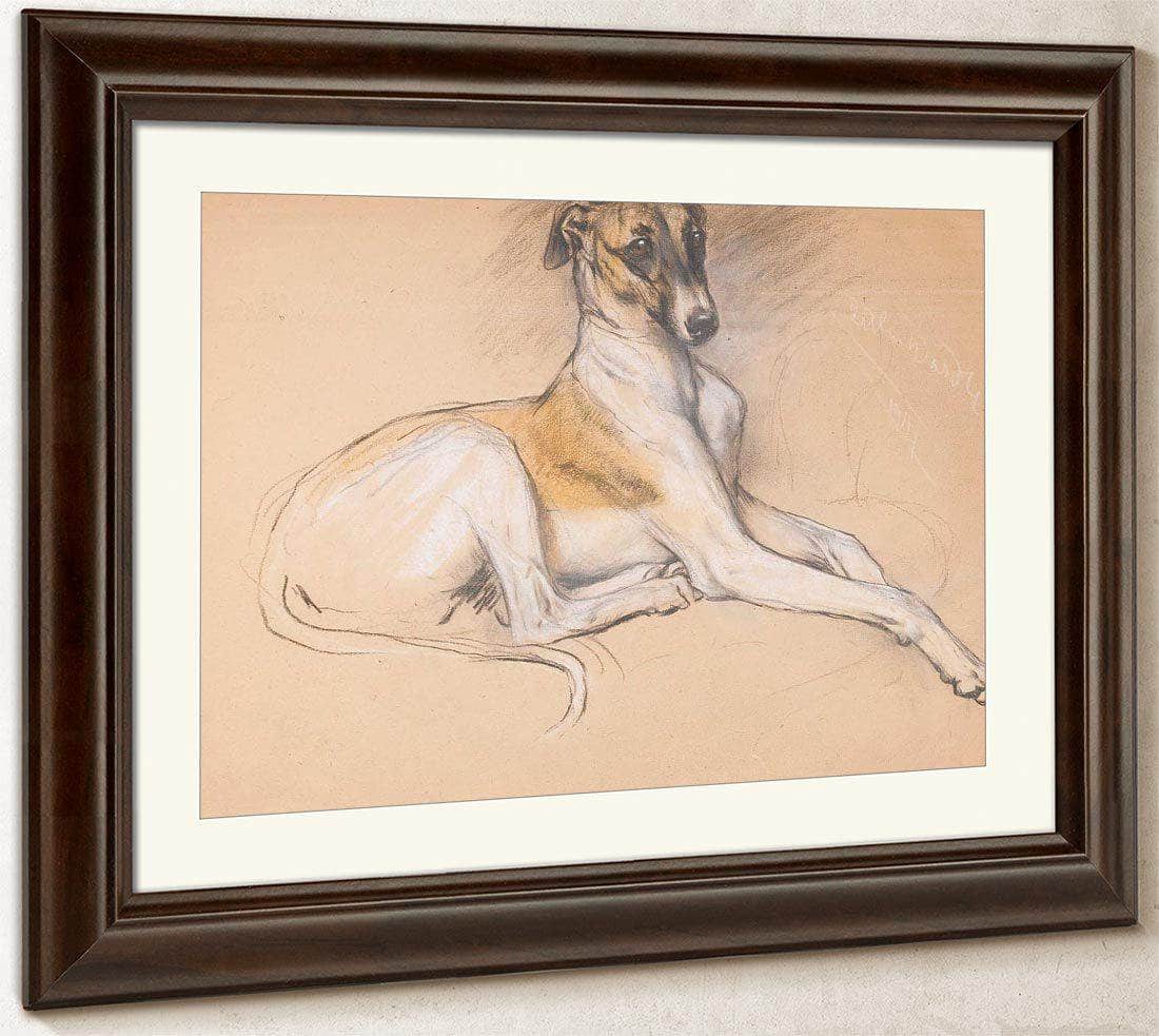 Studies Of A Greyhound By Arthur Wardle - Image 5