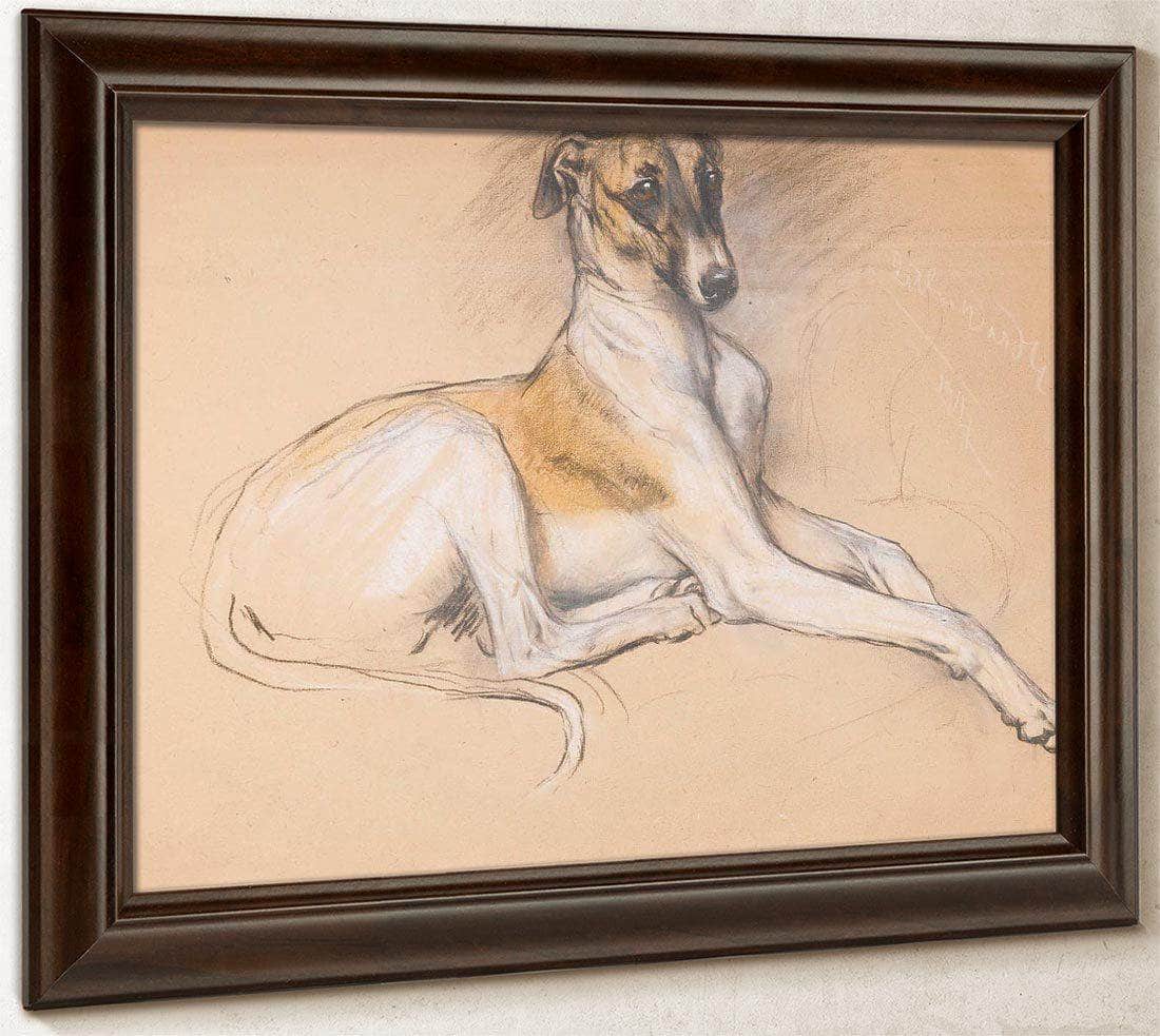 Studies Of A Greyhound By Arthur Wardle - Image 6