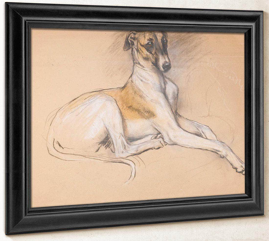 Studies Of A Greyhound By Arthur Wardle - Image 8