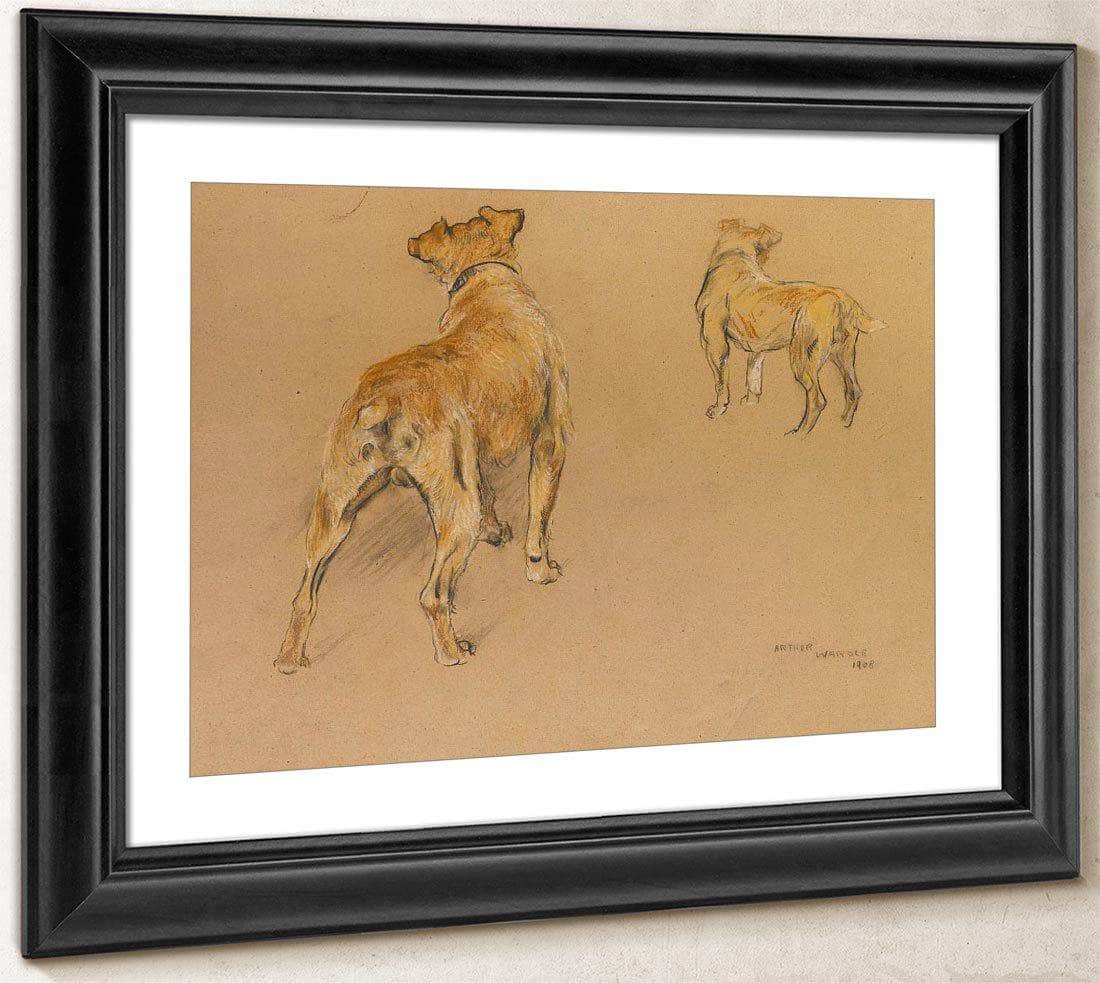 Studies Of A Terrier From Behind By Arthur Wardle - Image 4