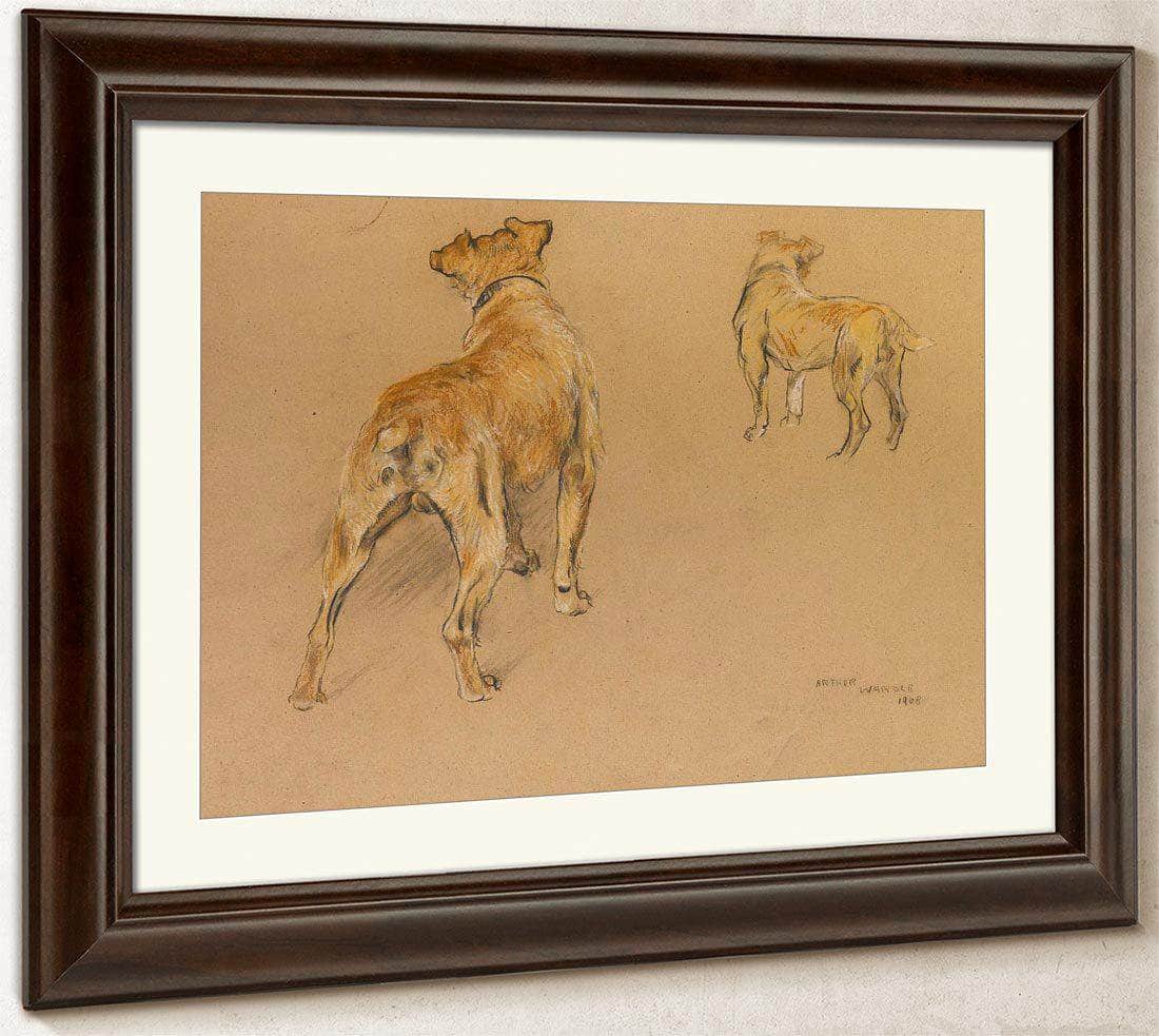 Studies Of A Terrier From Behind By Arthur Wardle - Image 5