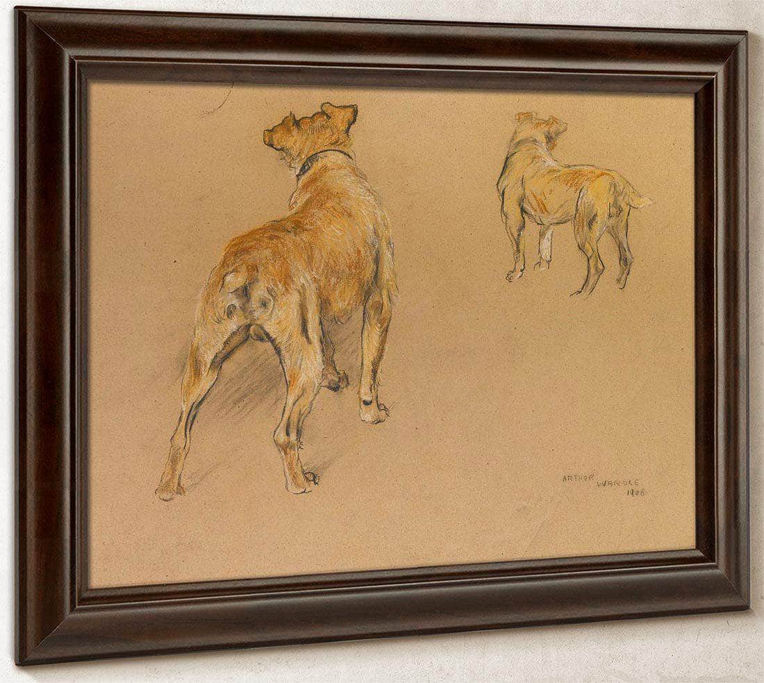 Studies Of A Terrier From Behind By Arthur Wardle - Image 6