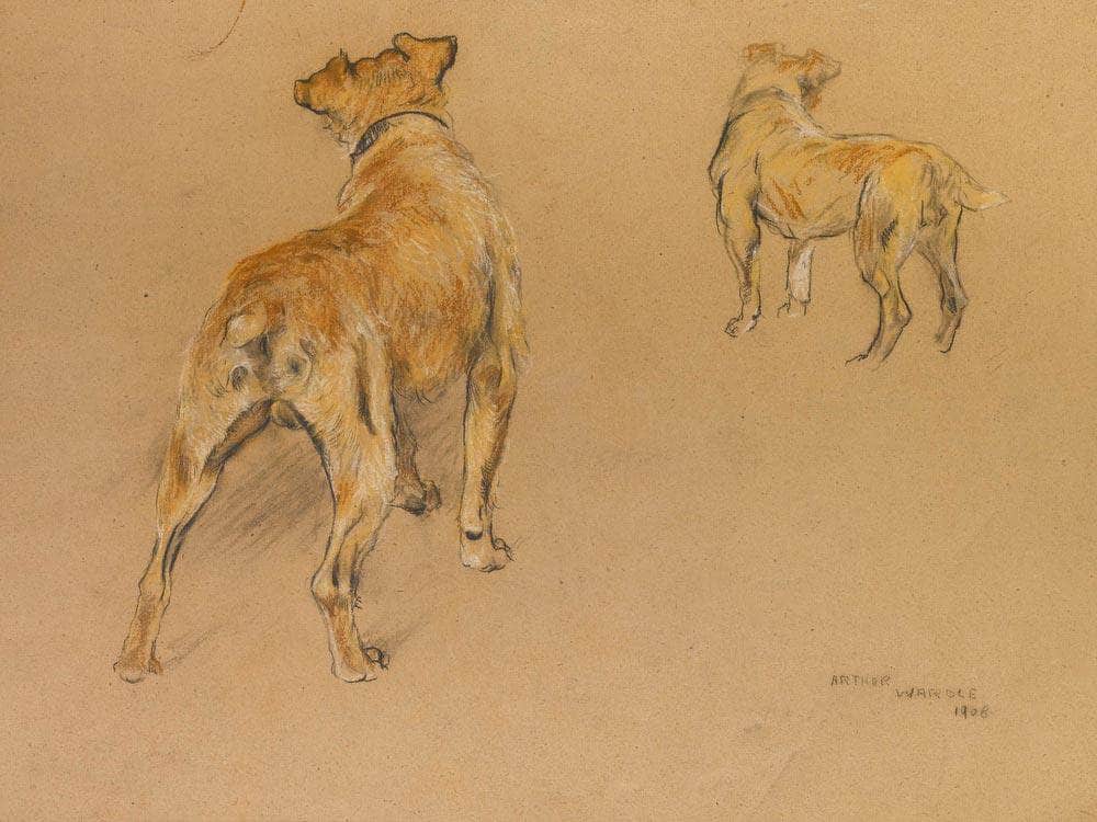 Studies Of A Terrier From Behind By Arthur Wardle - Image 7