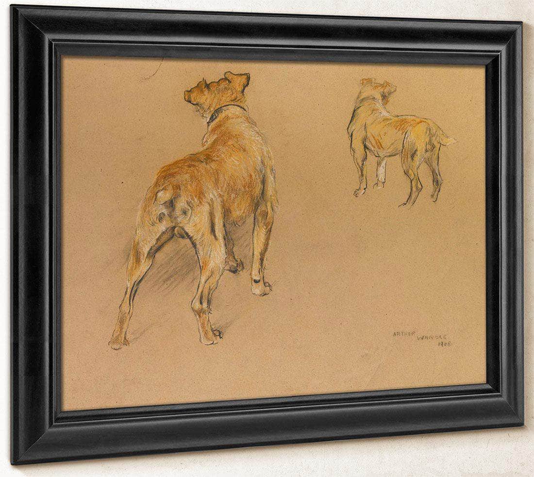 Studies Of A Terrier From Behind By Arthur Wardle - Image 8