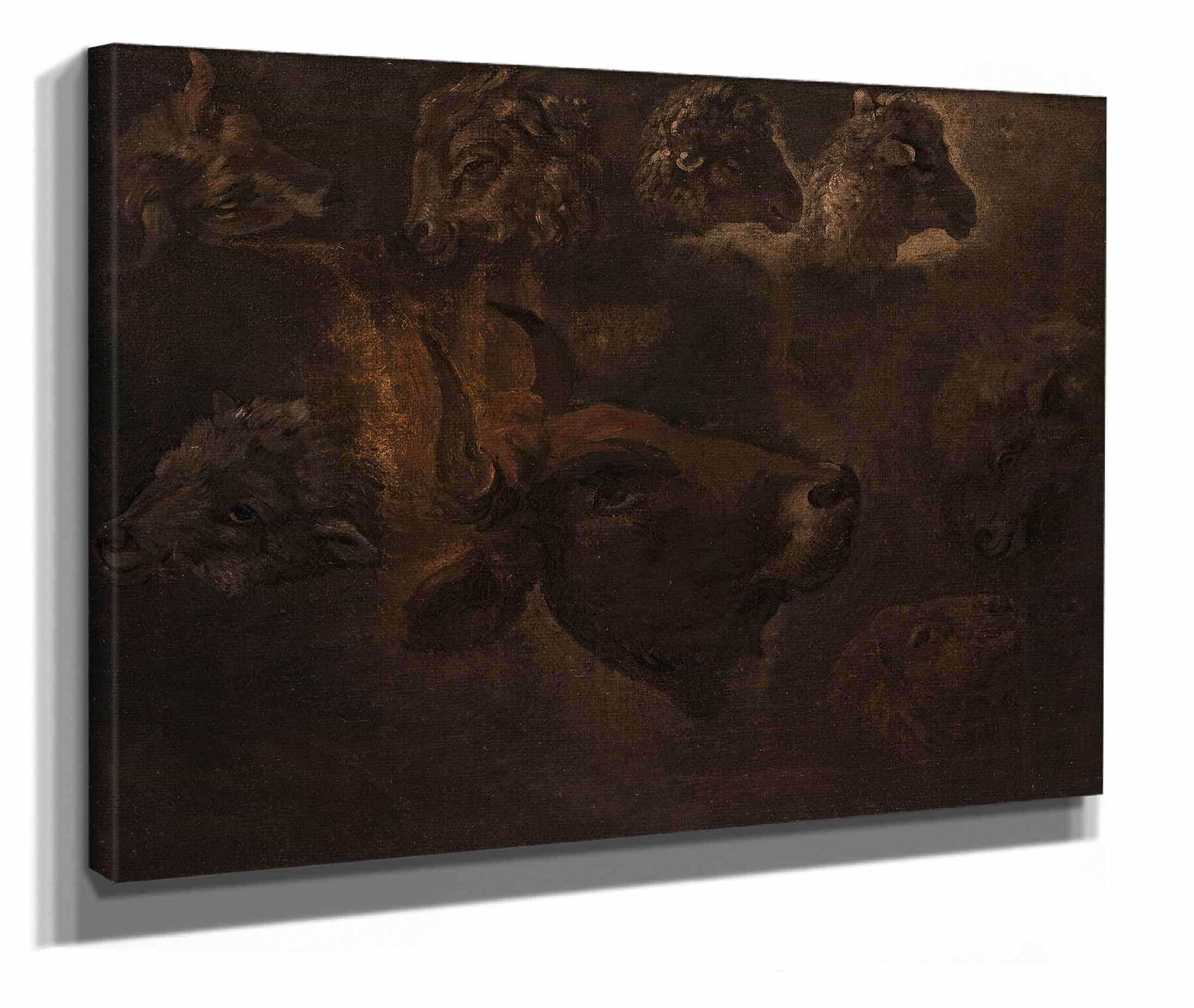 Studies Of Animal Heads Between And by Thomas Cole - Image 2
